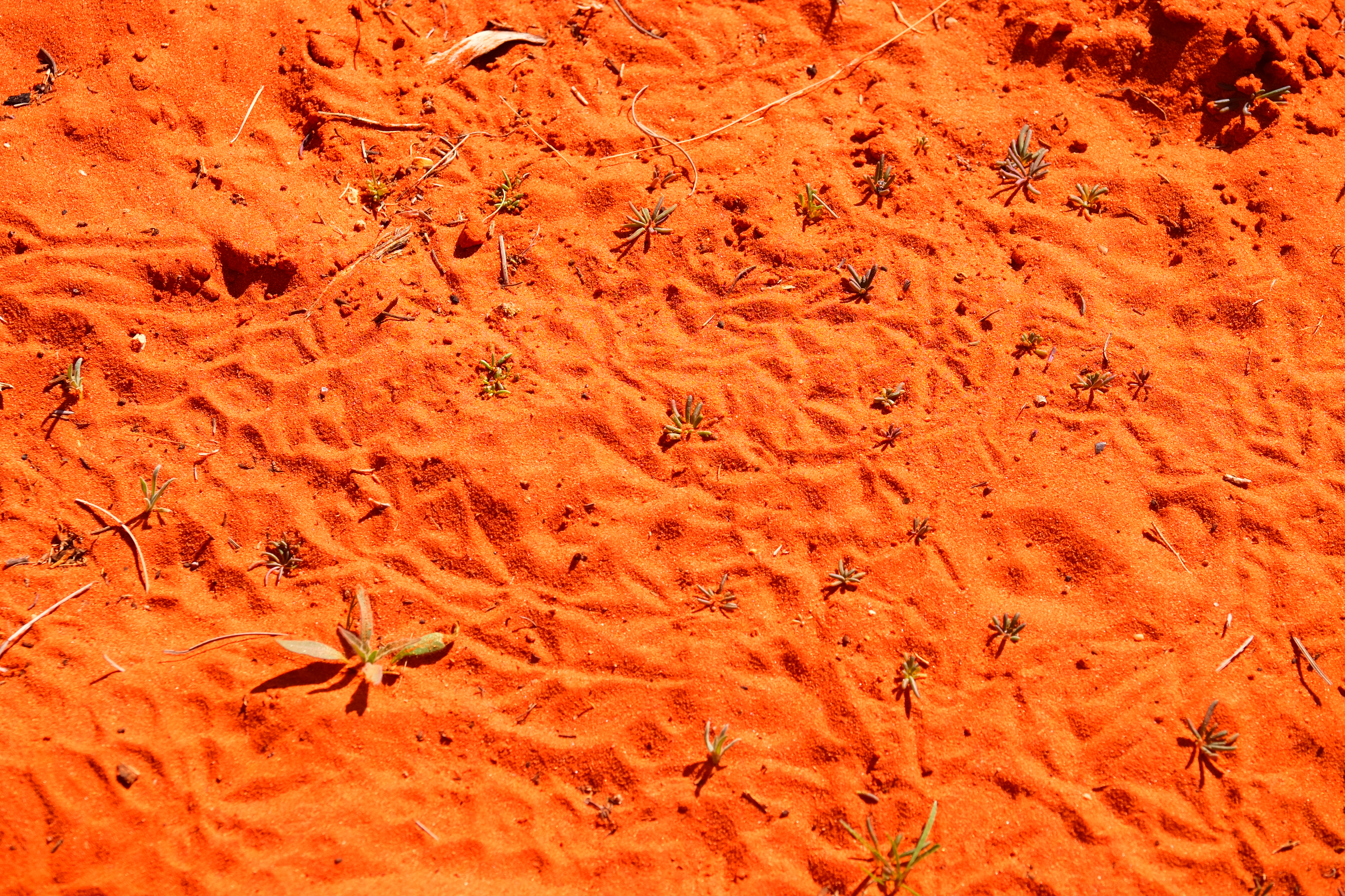 Ayers Rock Australia photo 6