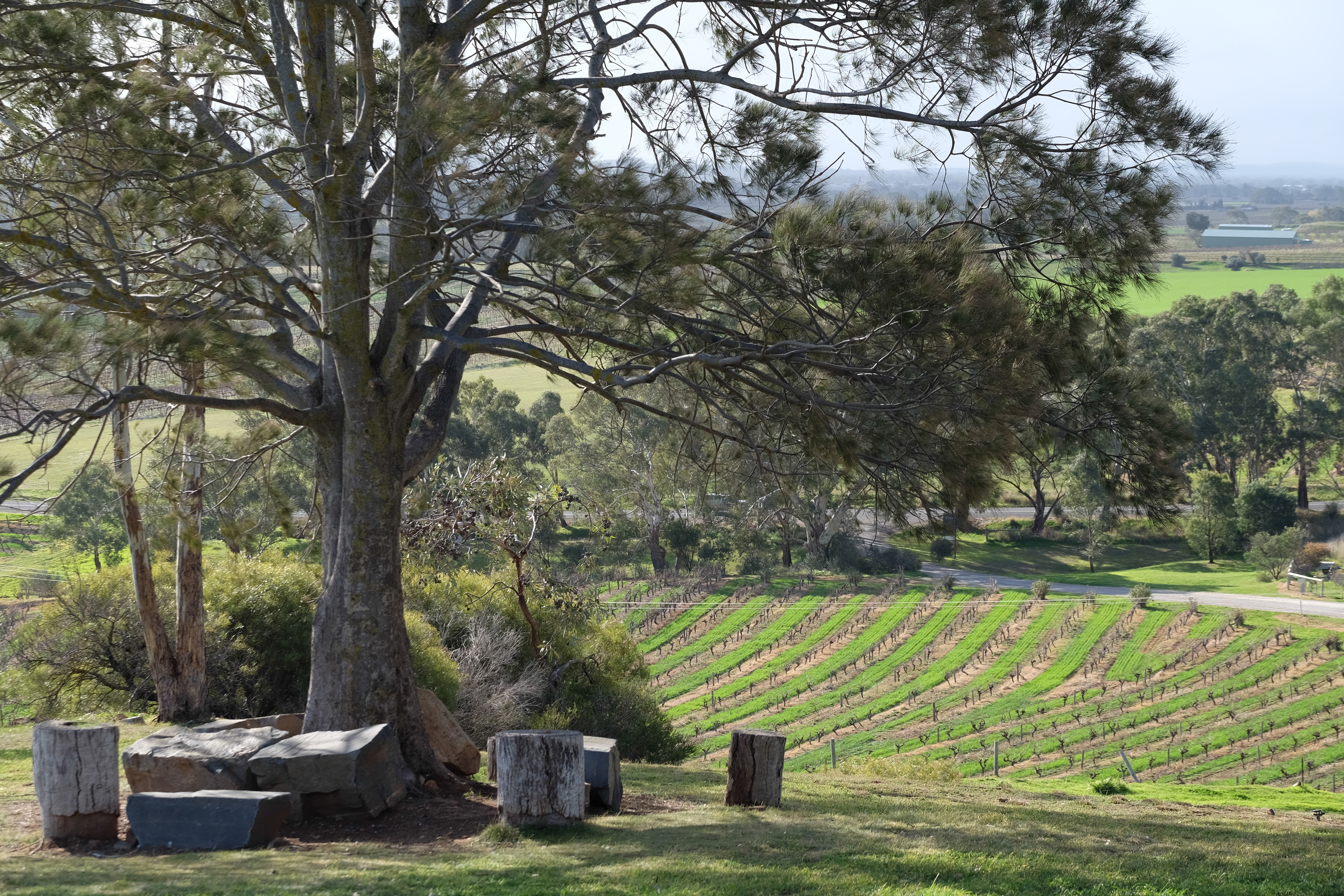 Barossa Valley Australia photo 2