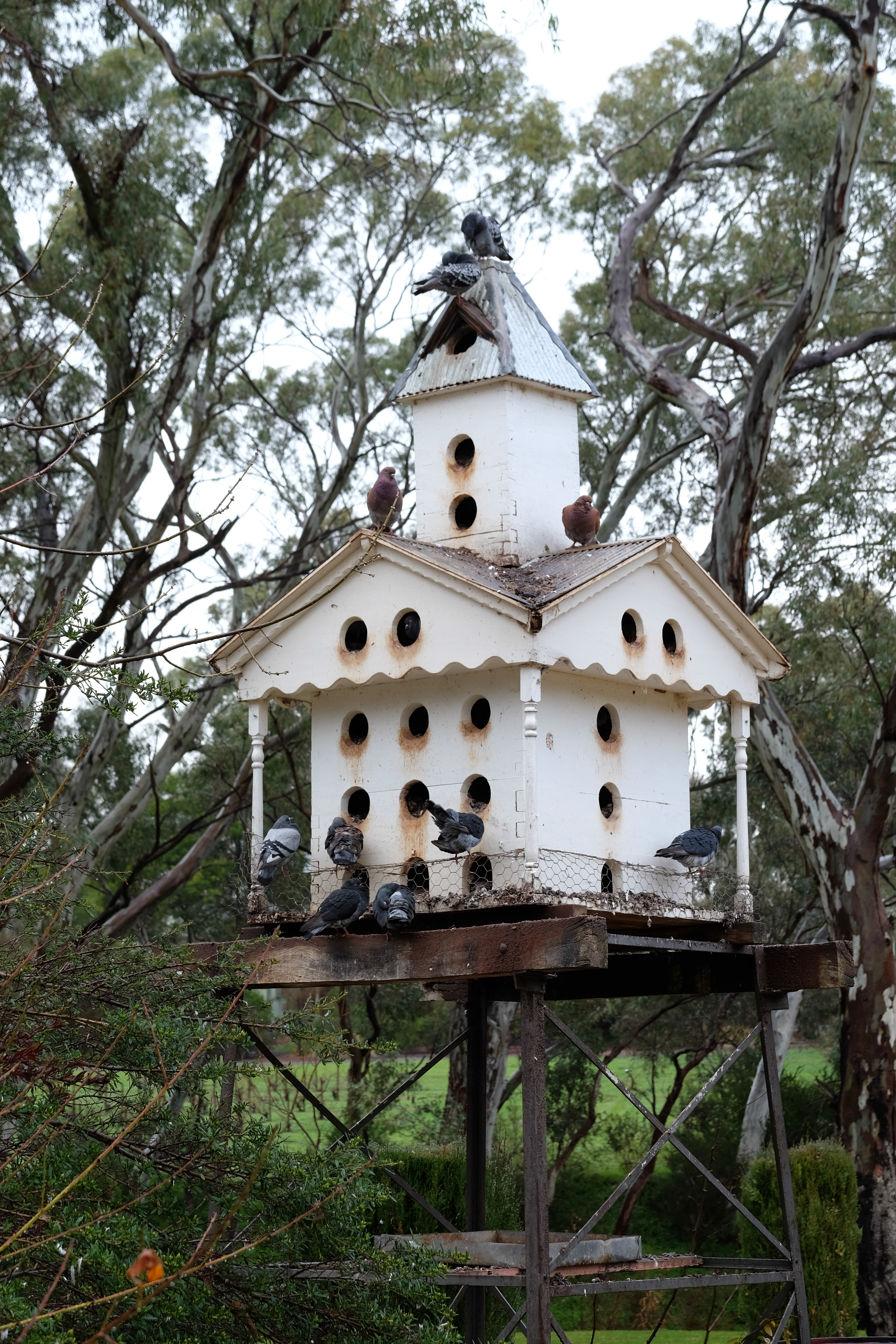 Barossa Valley Australia photo 3