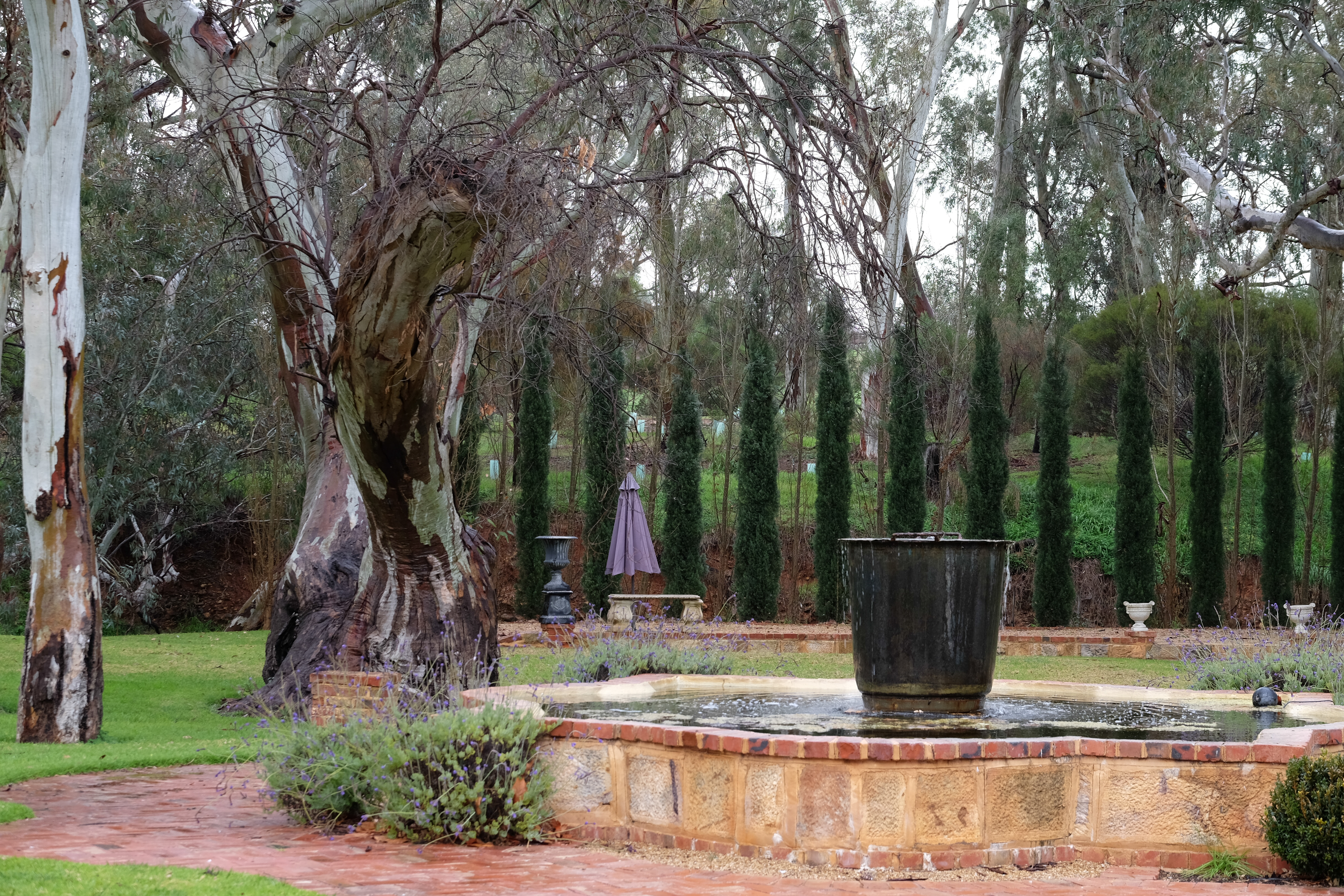 Barossa Valley Australia photo 5