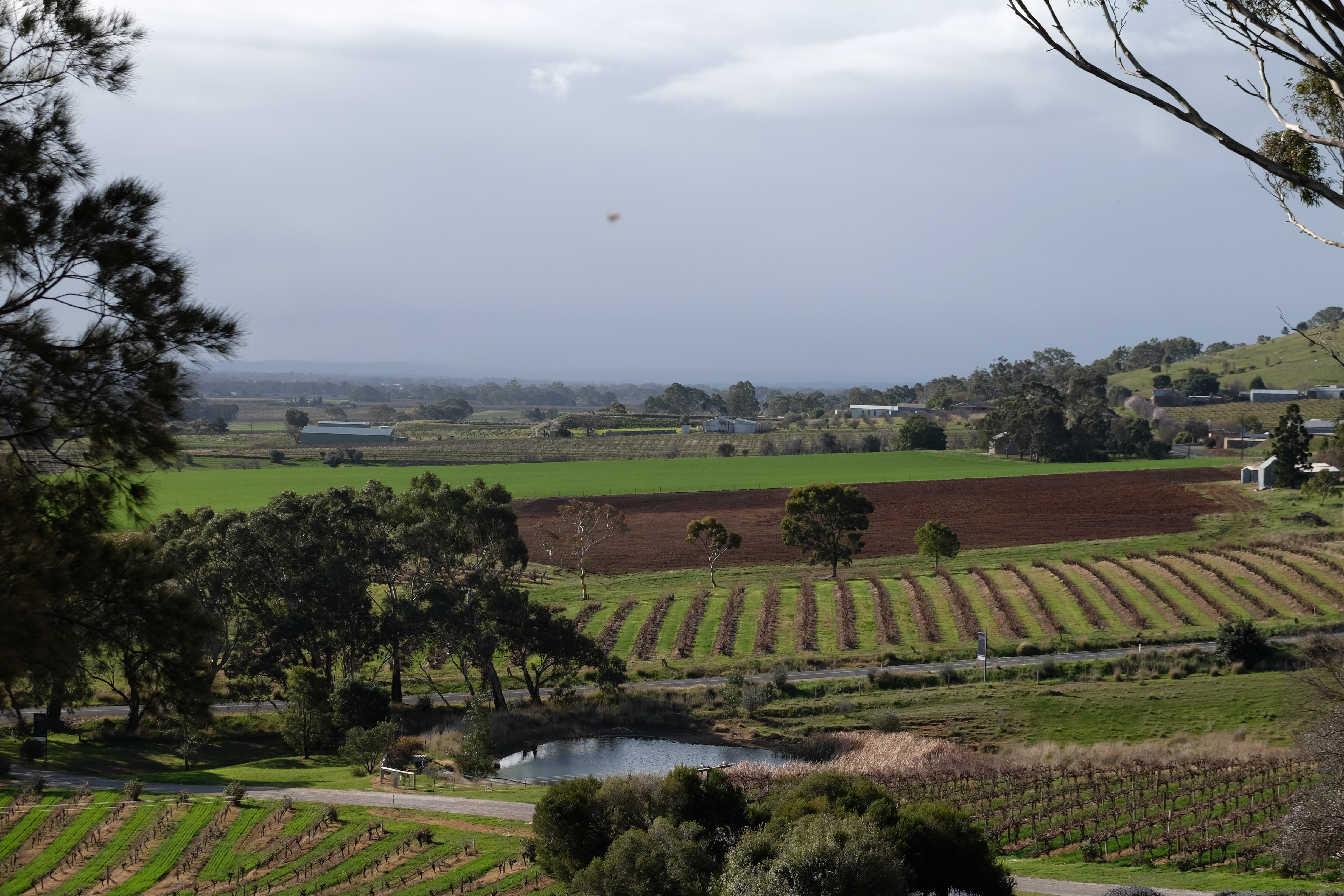 Barossa Valley Australia photo 6