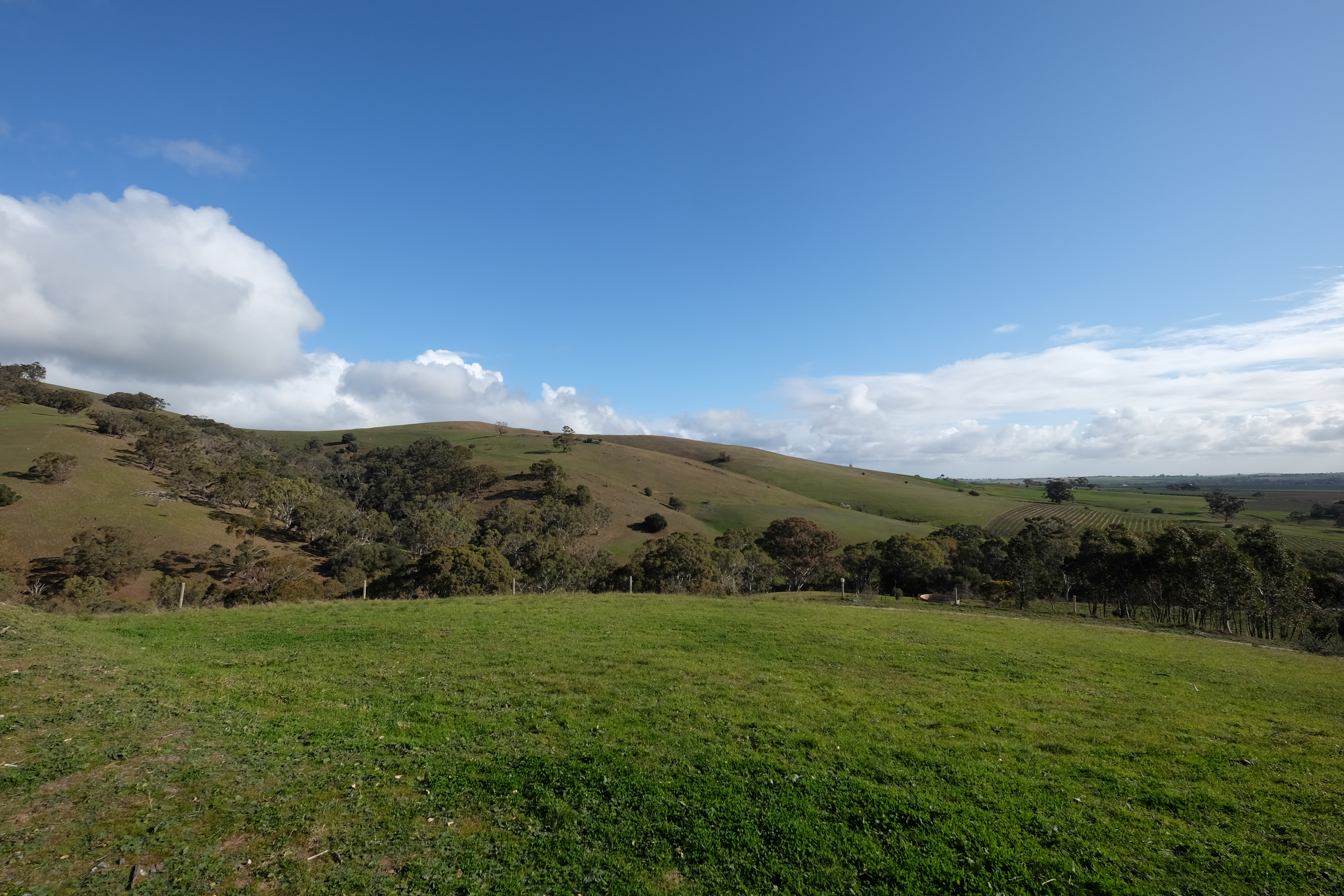 Barossa Valley Australia photo 7