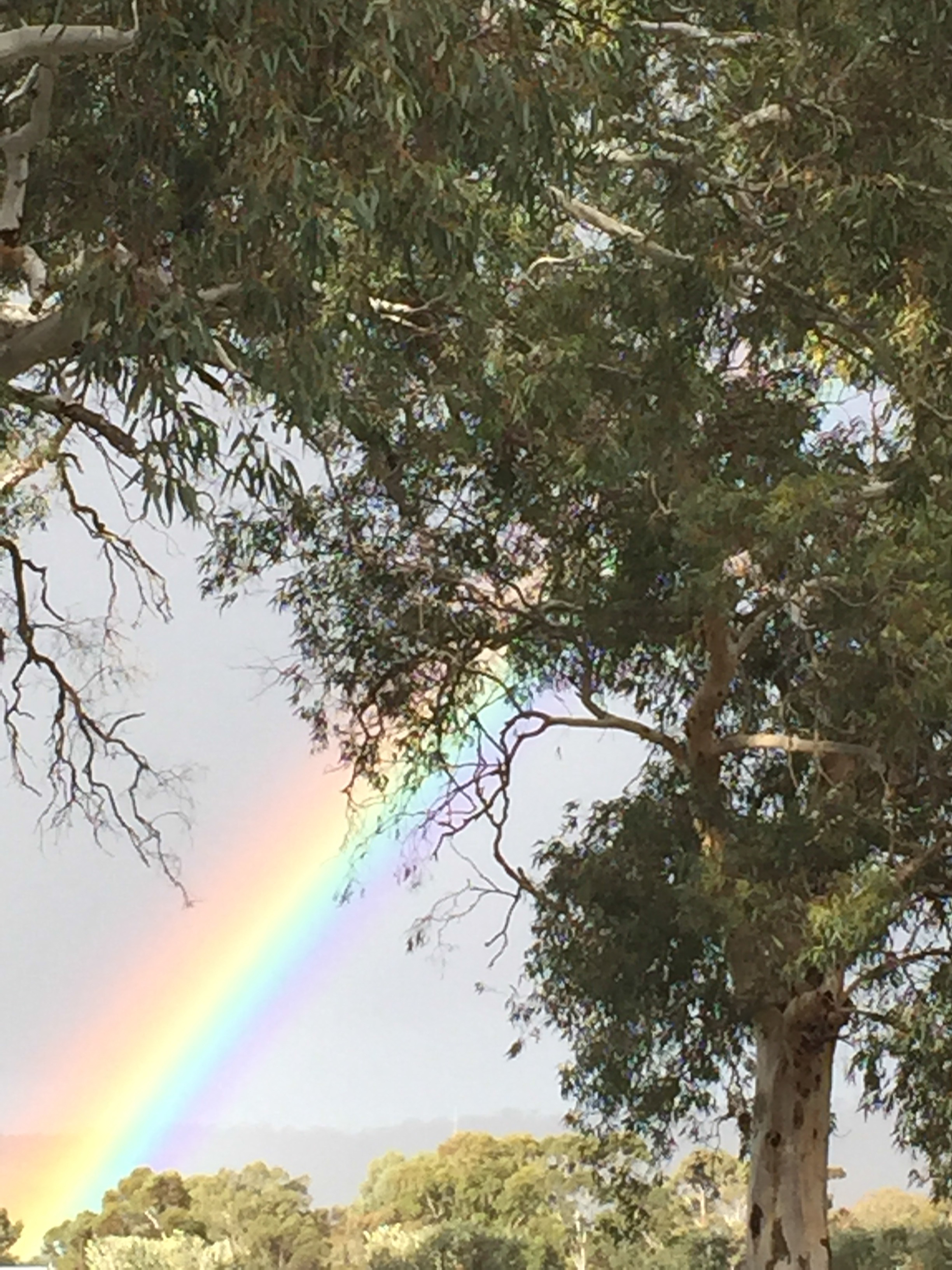 Barossa Valley Australia photo 8