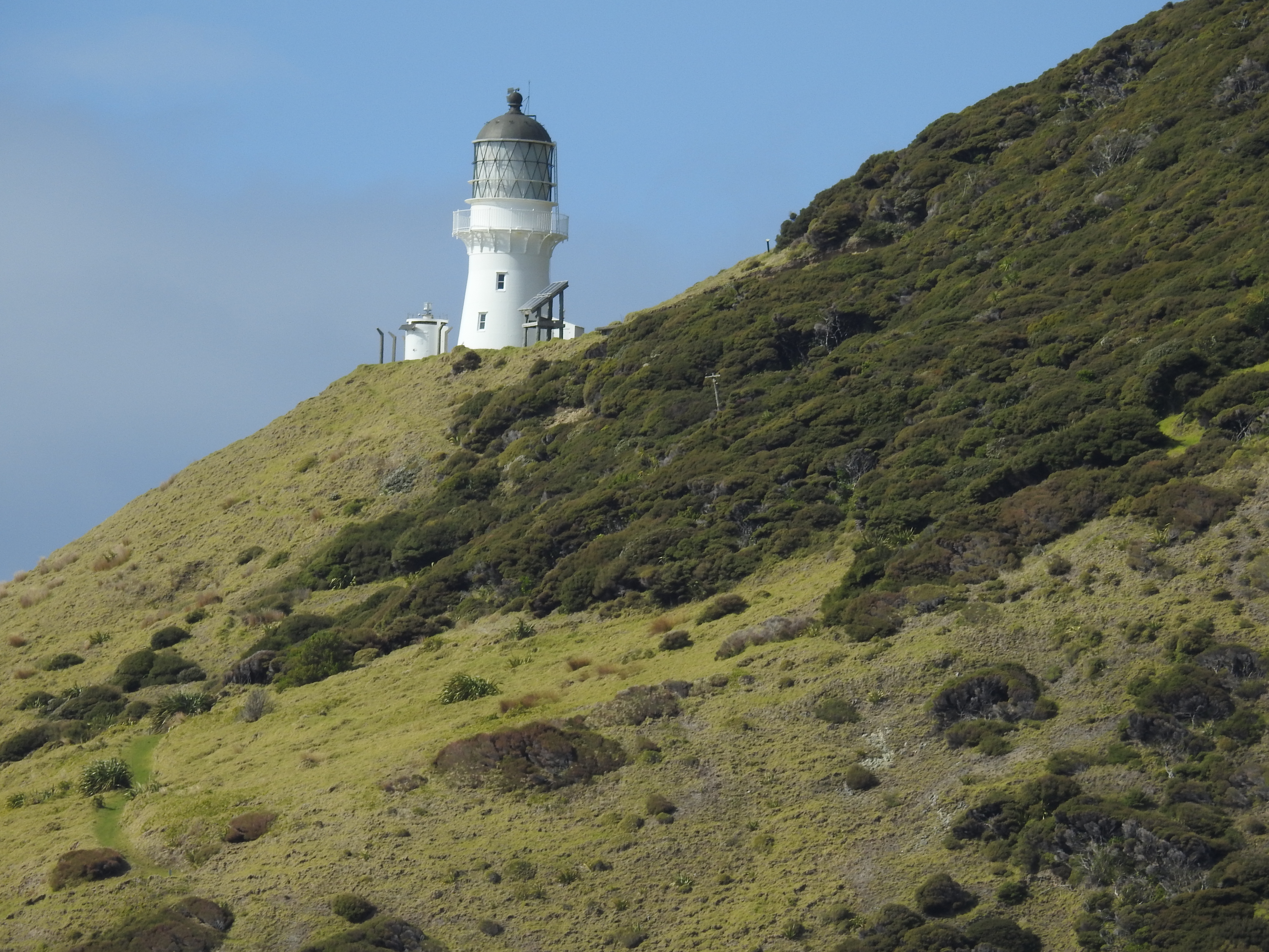 Bay of Islands New Zealand photo 8