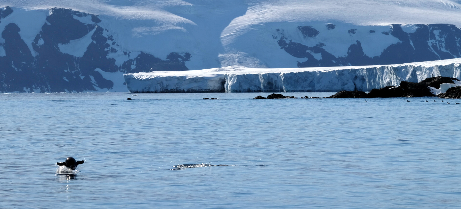 Brown Bluff Antarctica photo 4