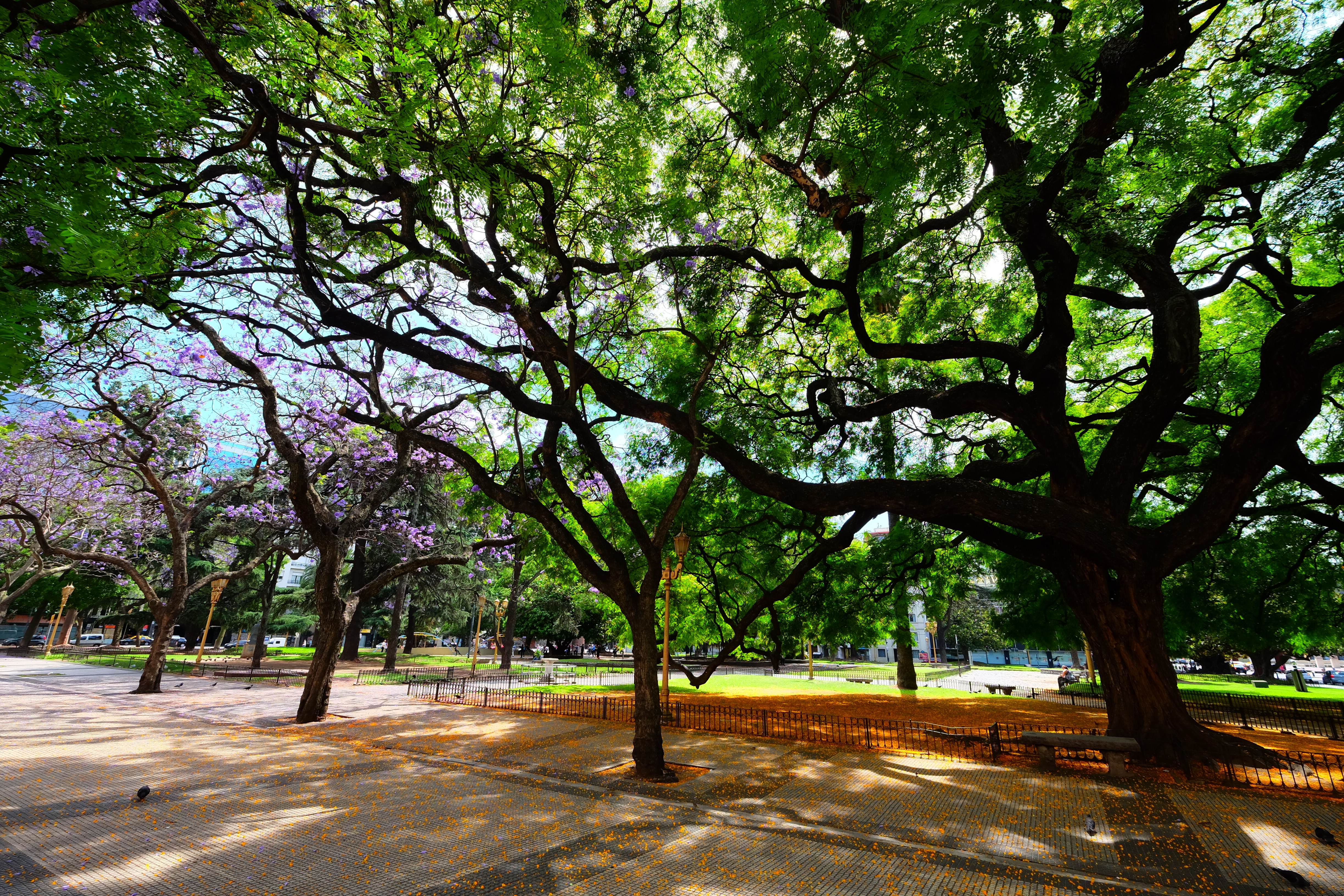 Buenos Aires Argentina photo 4