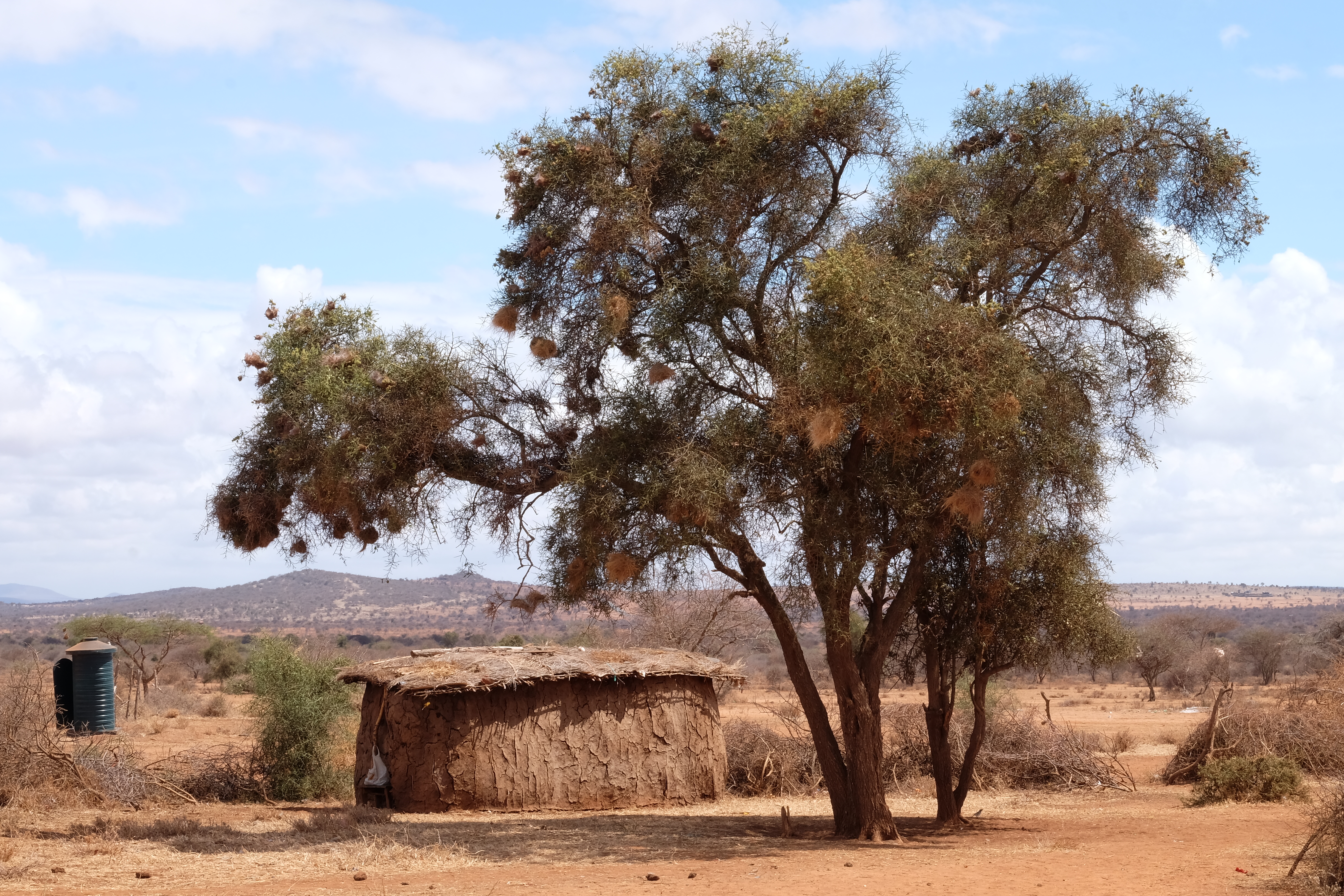 Chyulu Hills Kenya photo 7