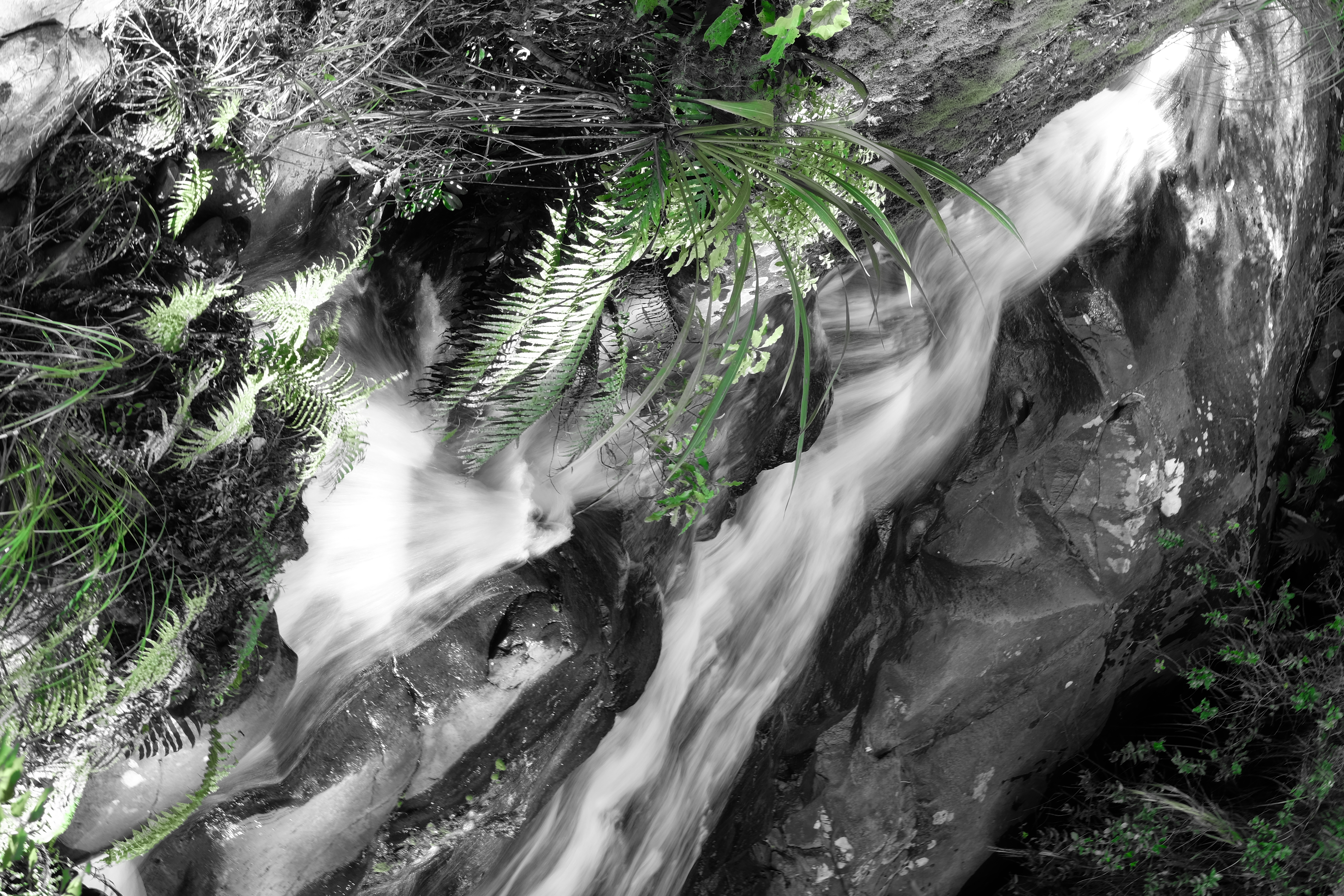 Coromandel Peninsula New Zealand photo 5