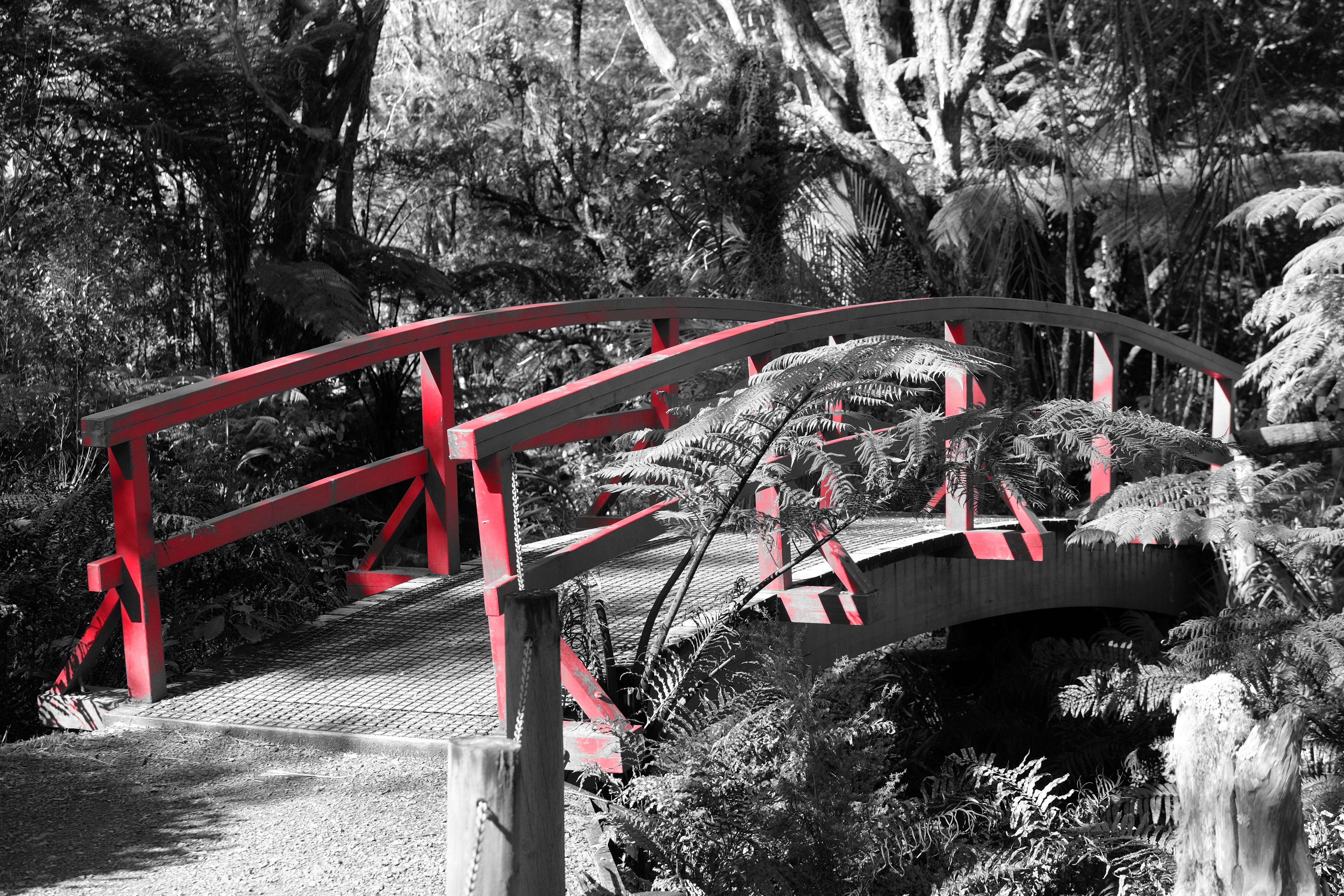 Coromandel Peninsula New Zealand photo 6