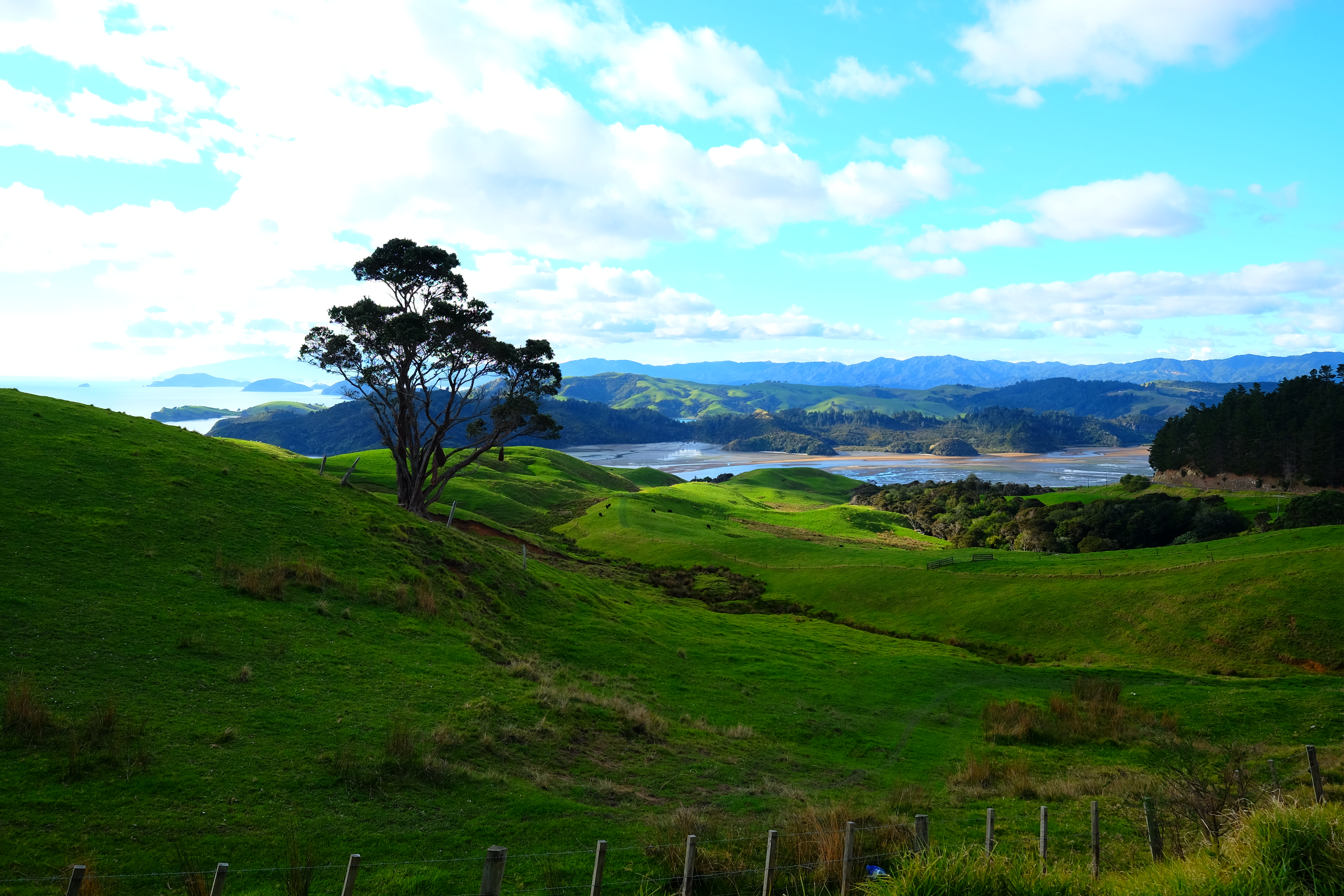 Coromandel Peninsula New Zealand photo 7