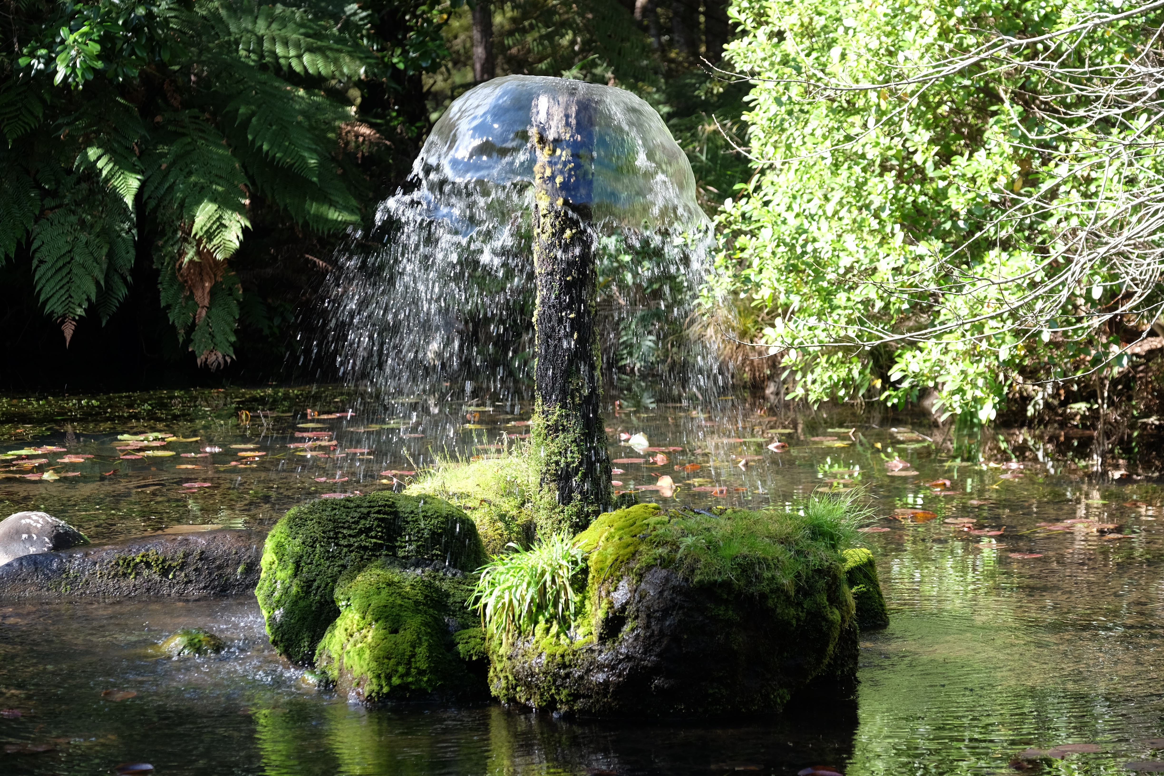 Coromandel Peninsula New Zealand photo 9