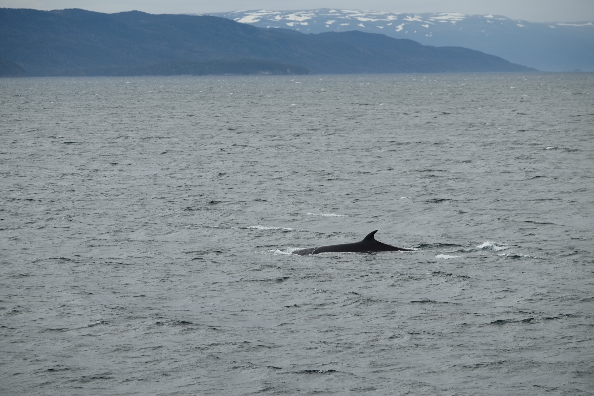Drake Passage Antarctica photo 1