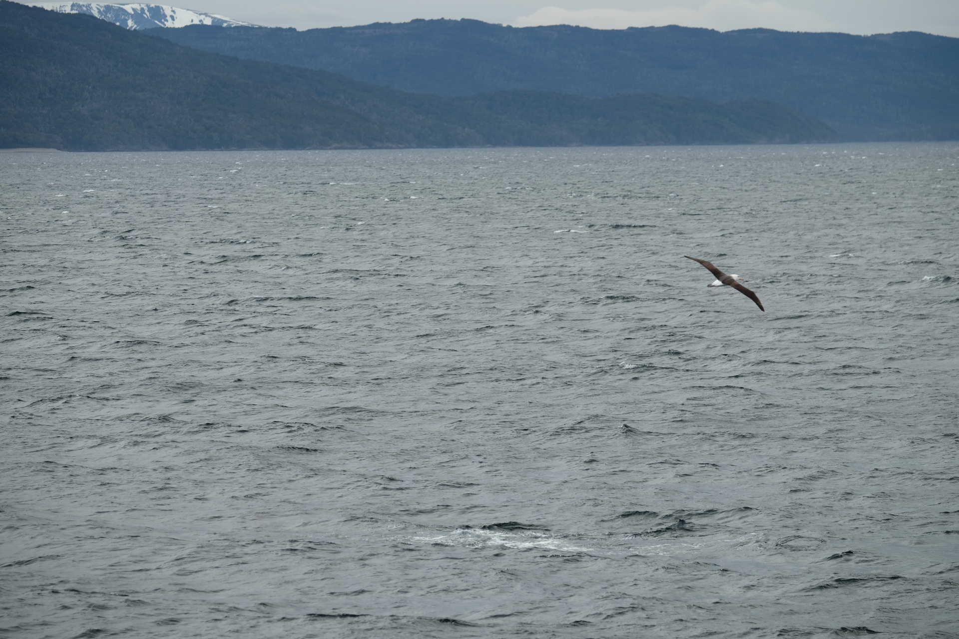 Drake Passage Antarctica photo 3