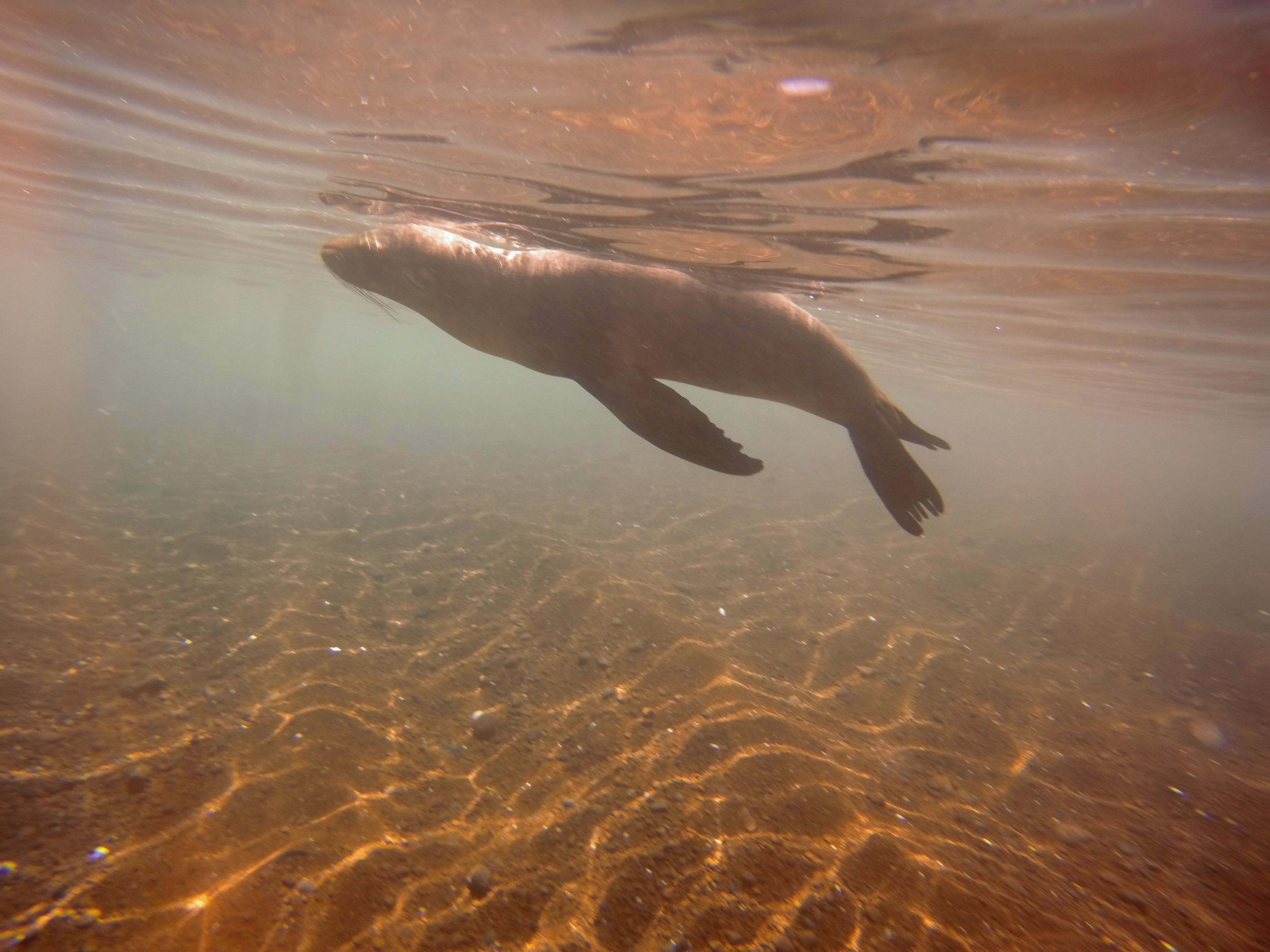 Galapagos Ecuador photo 1