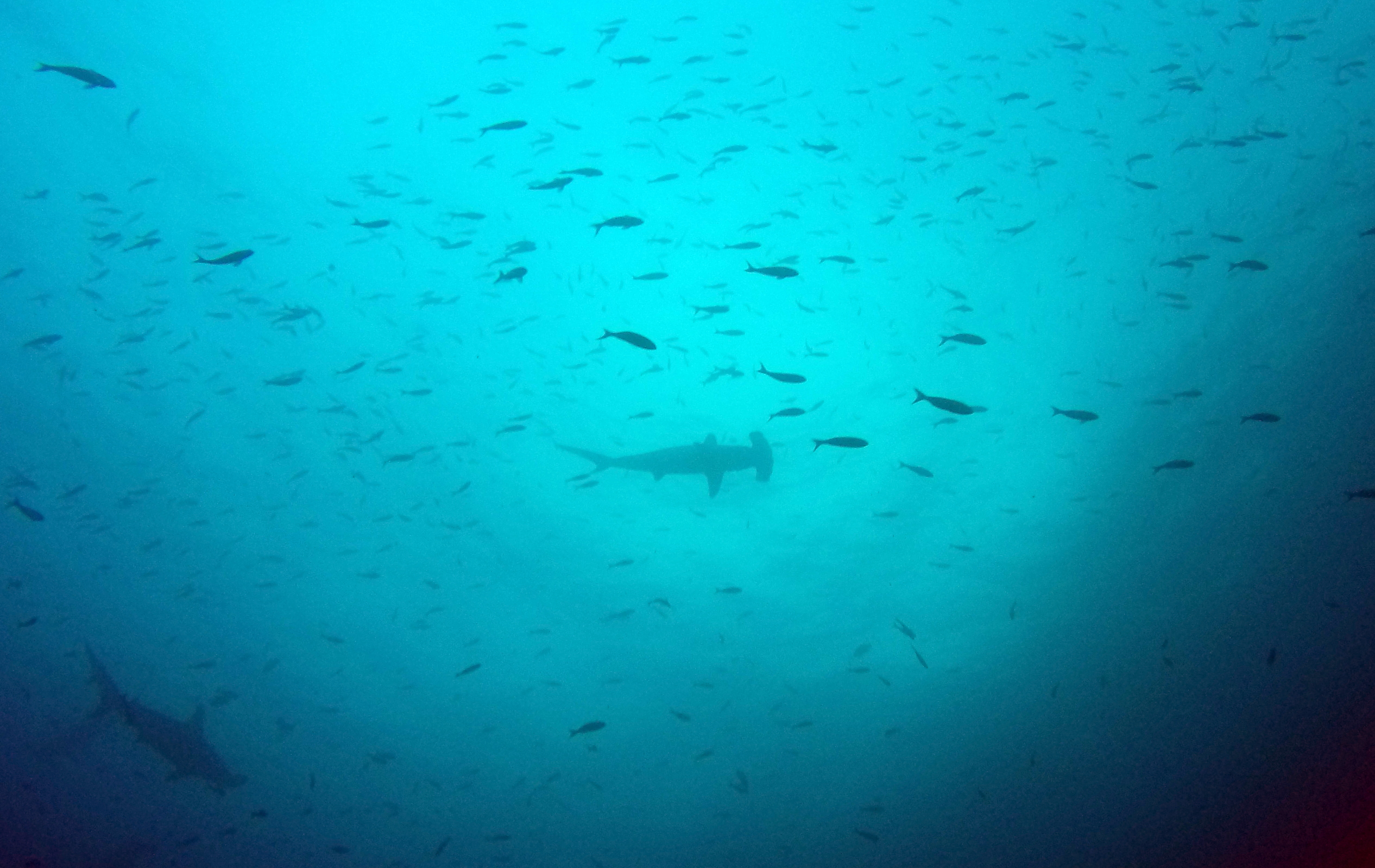 Galapagos Ecuador photo 3