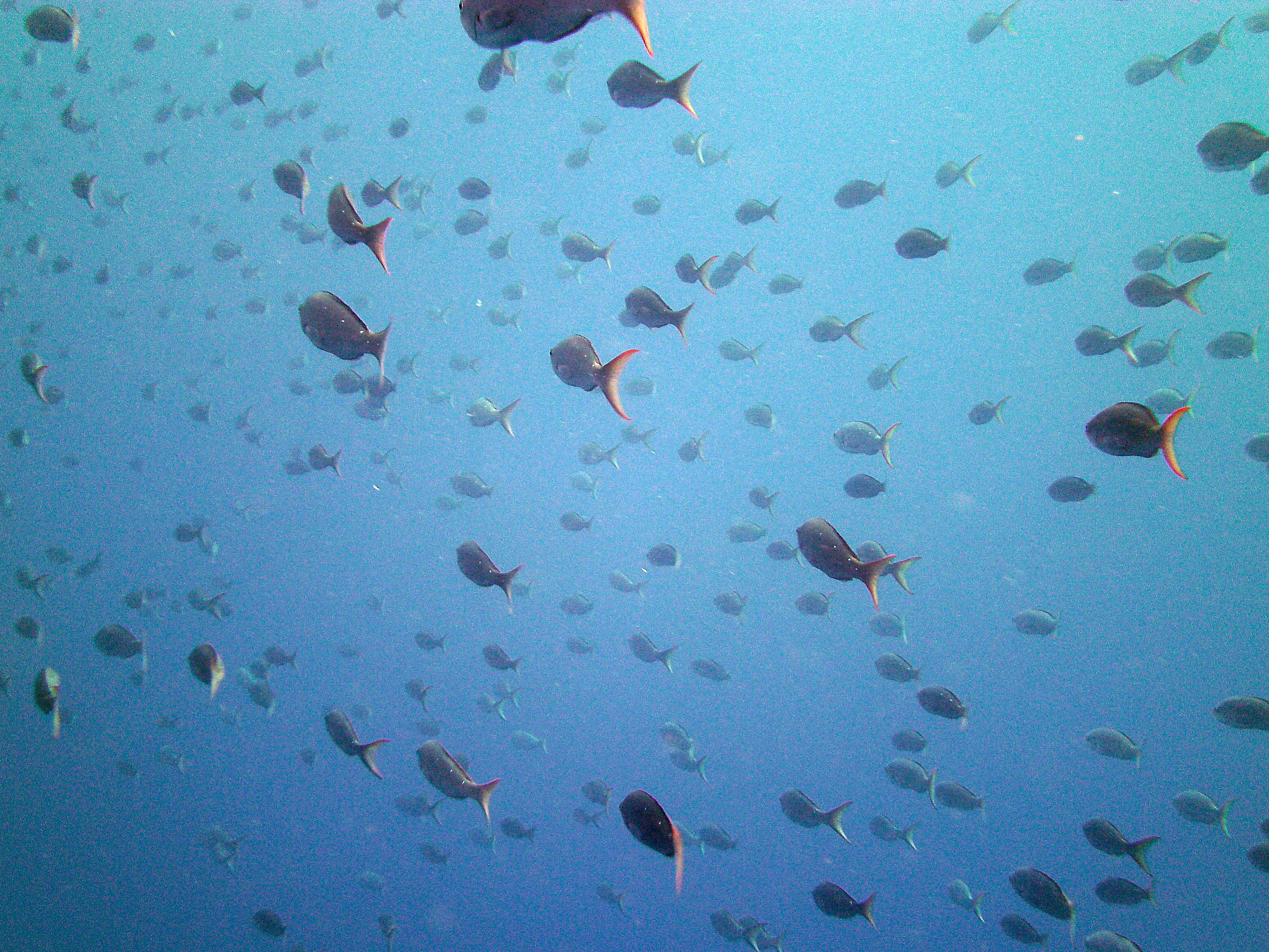 Galapagos Ecuador photo 4