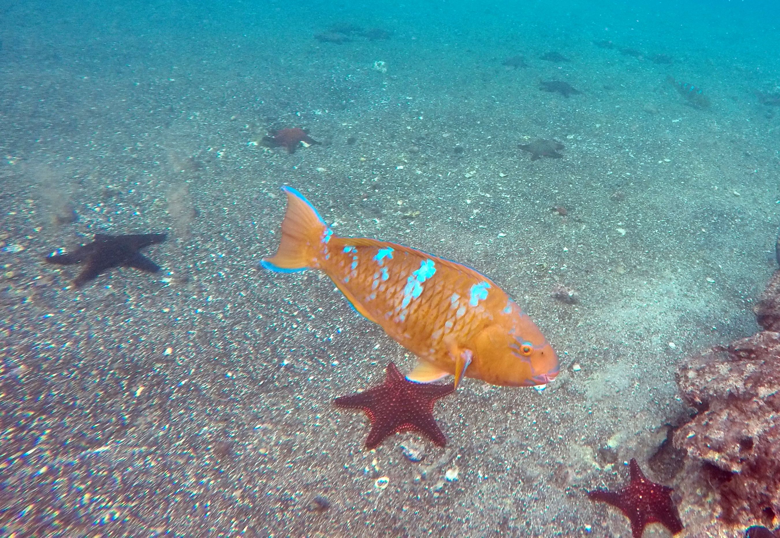 Galapagos Ecuador photo 8
