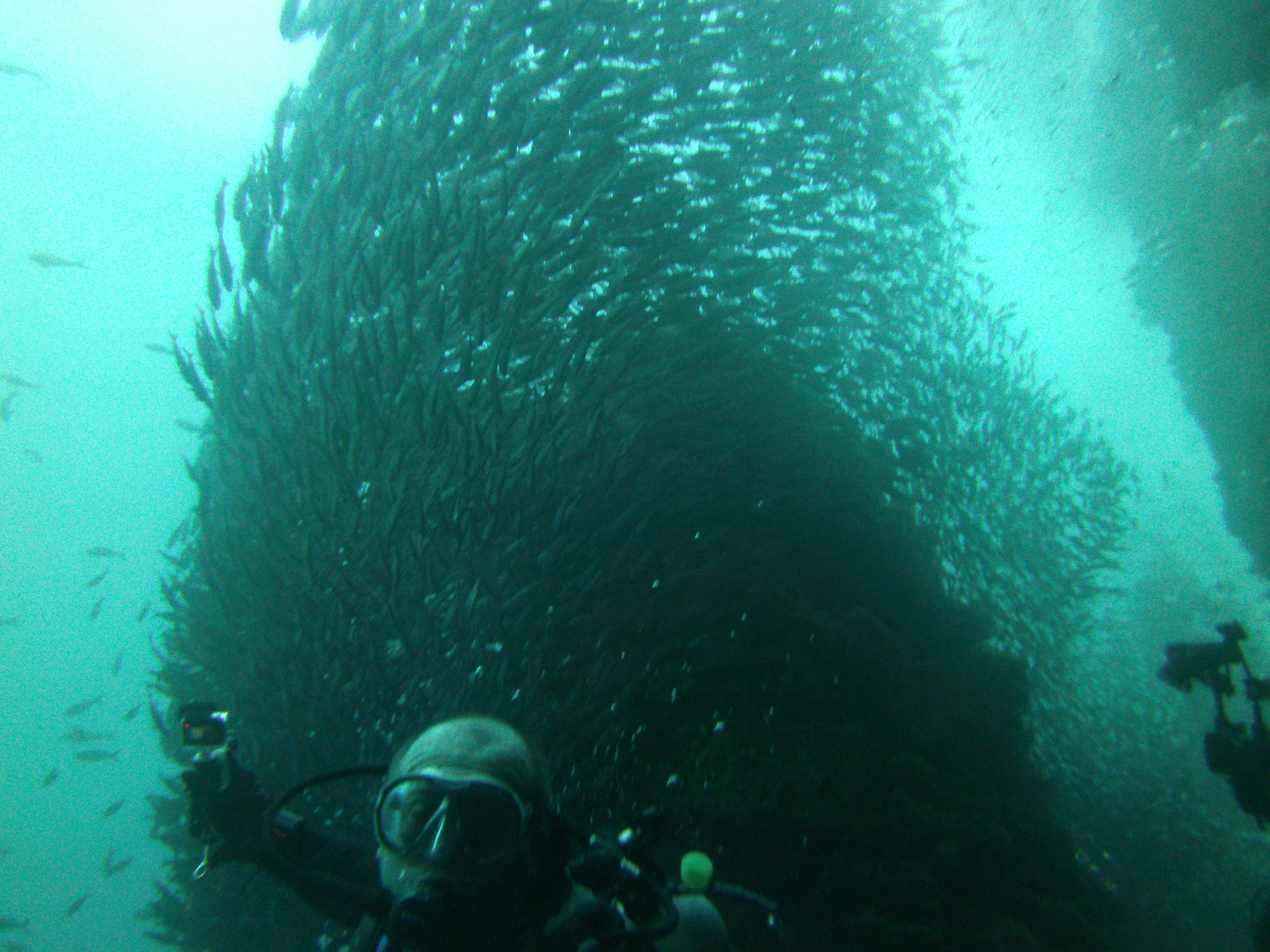 Galapagos Ecuador photo 9