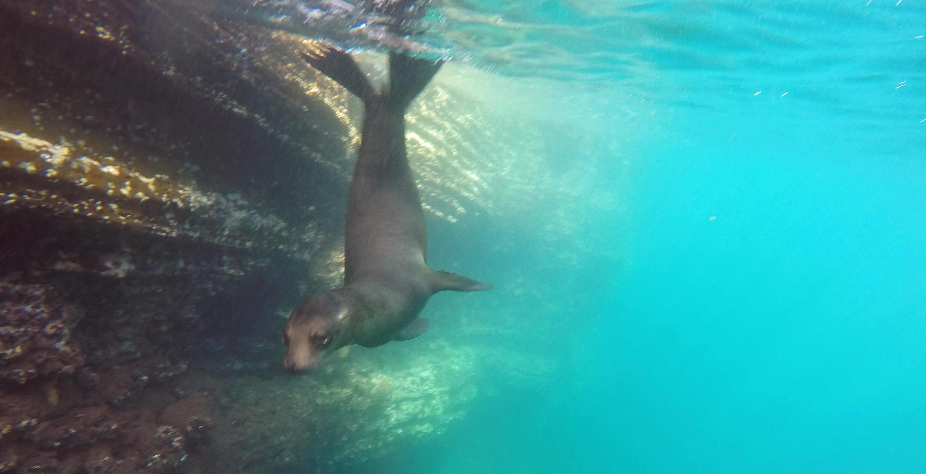 Galapagos Ecuador photo 12
