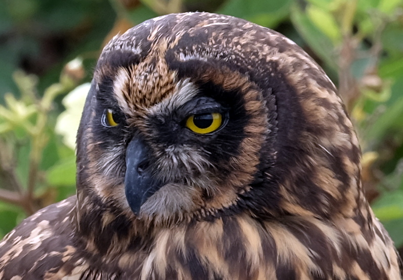 Galapagos Ecuador photo 15