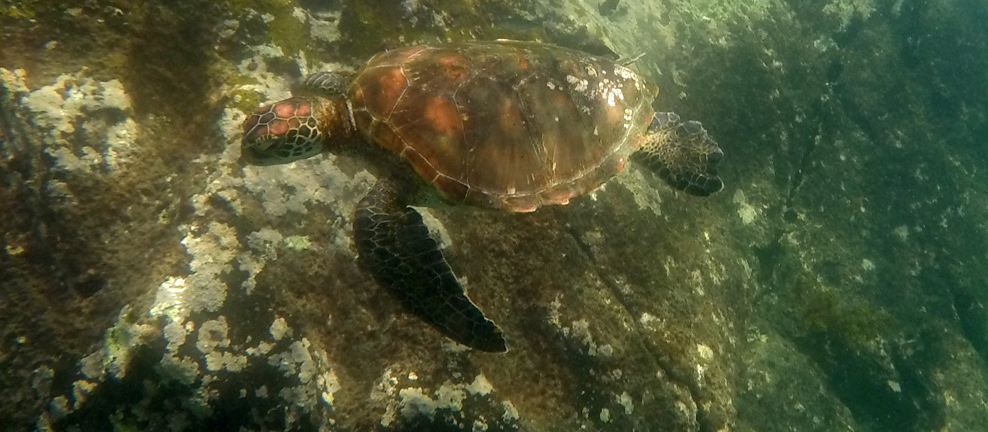 Galapagos Ecuador photo 16
