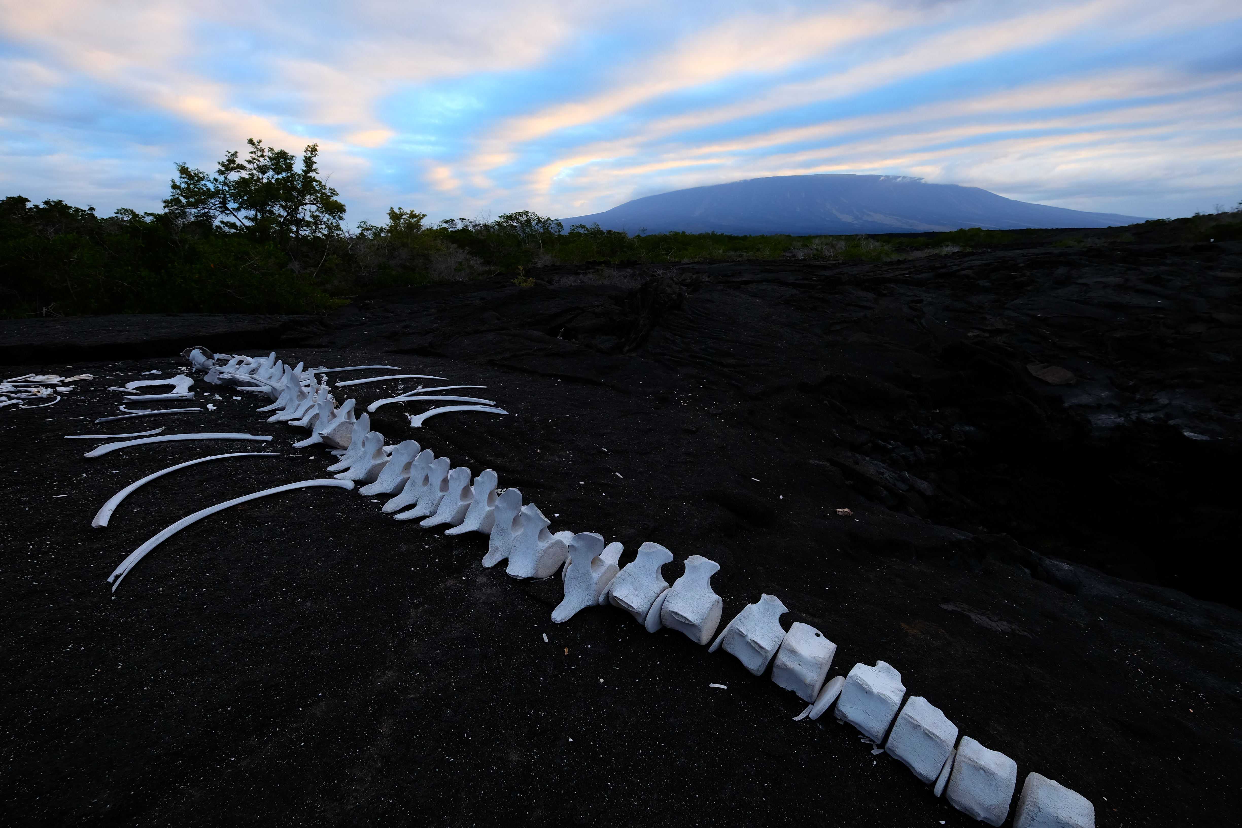 Galapagos Ecuador photo 17