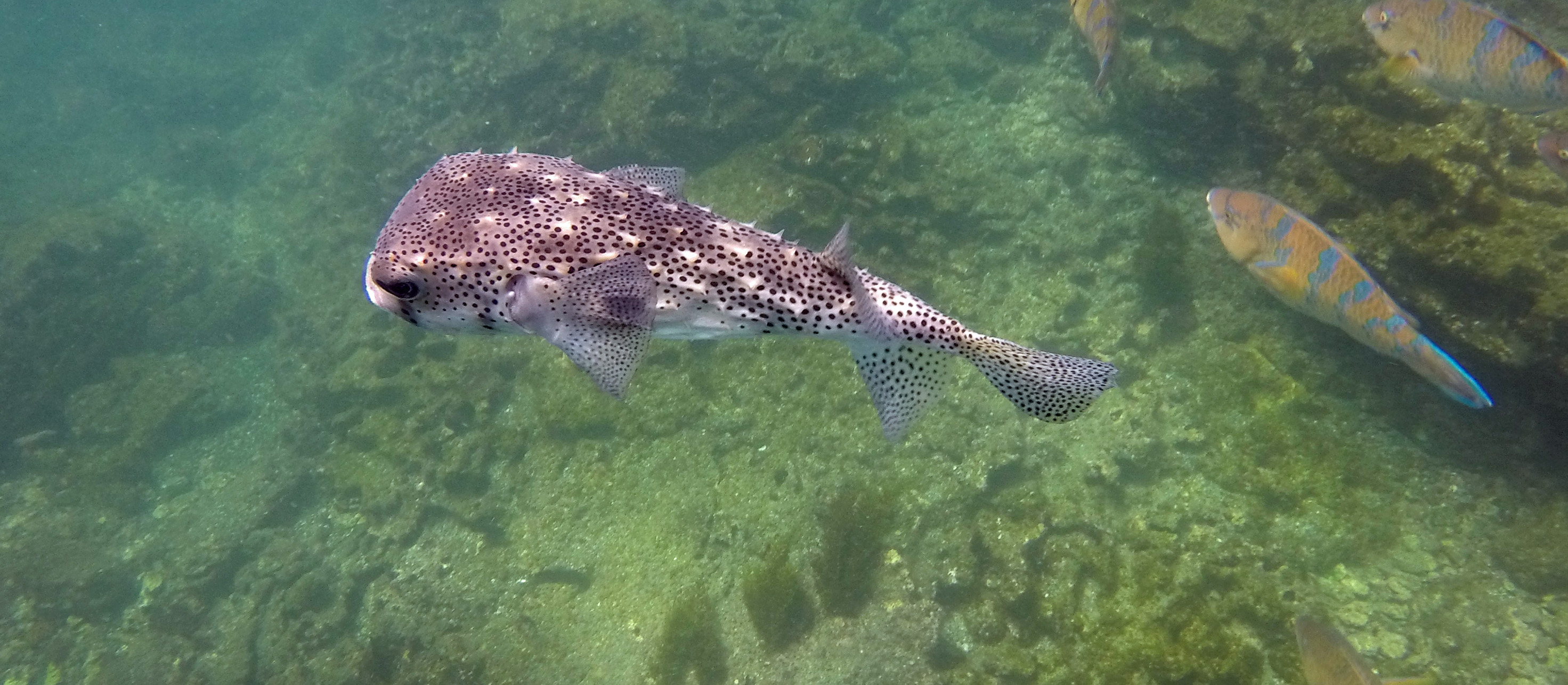 Galapagos Ecuador photo 18
