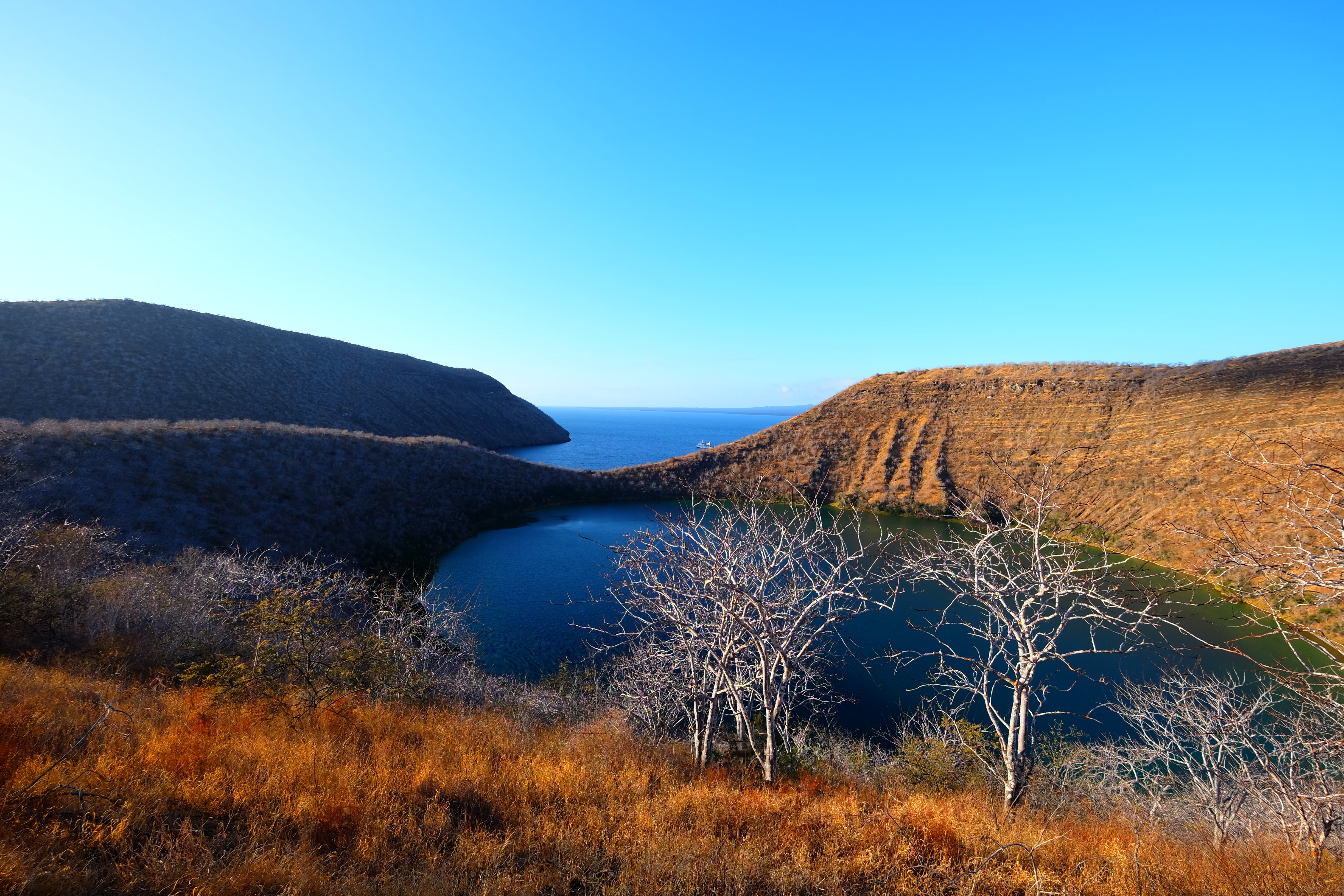 Galapagos Ecuador photo 21
