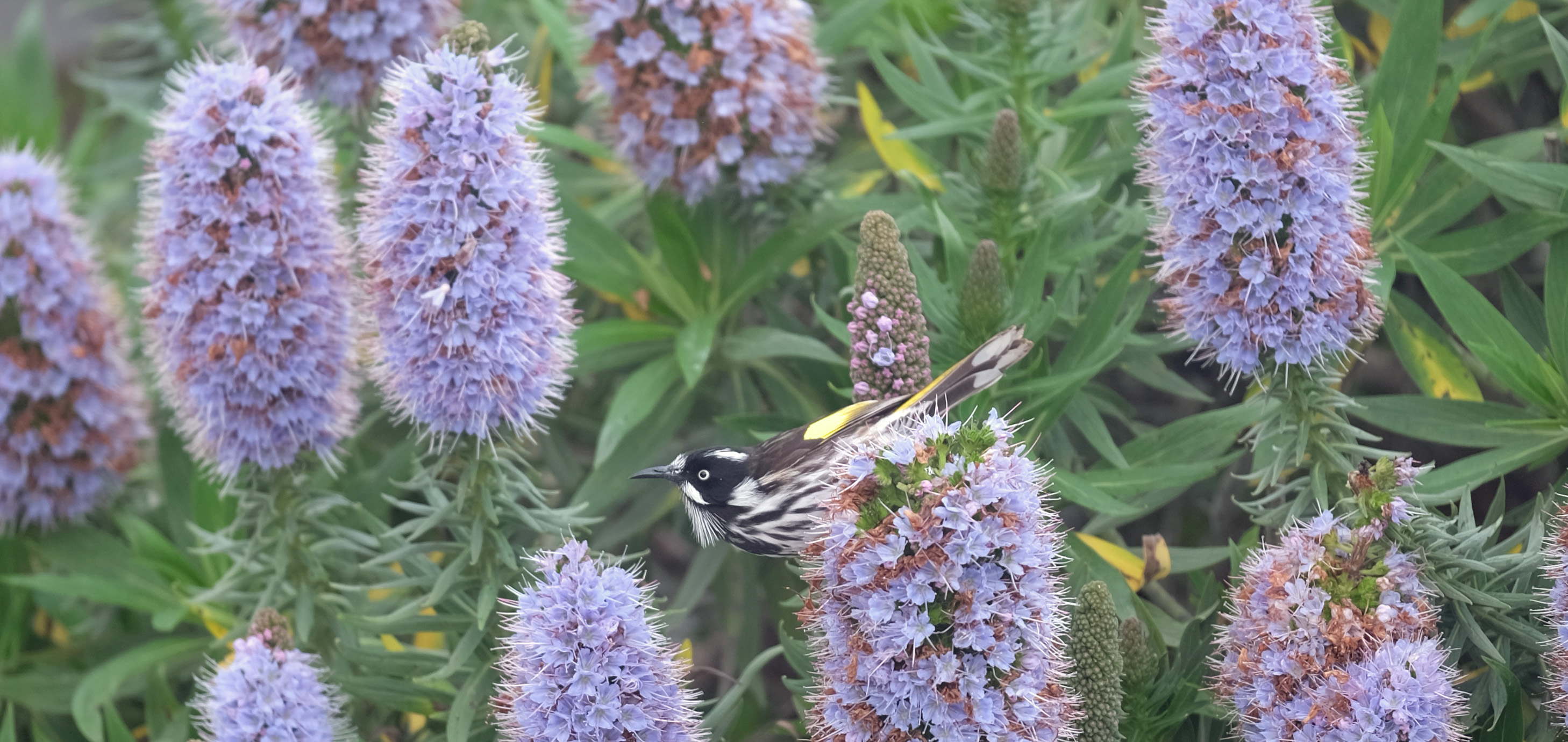 Great Ocean Road Australia photo 1