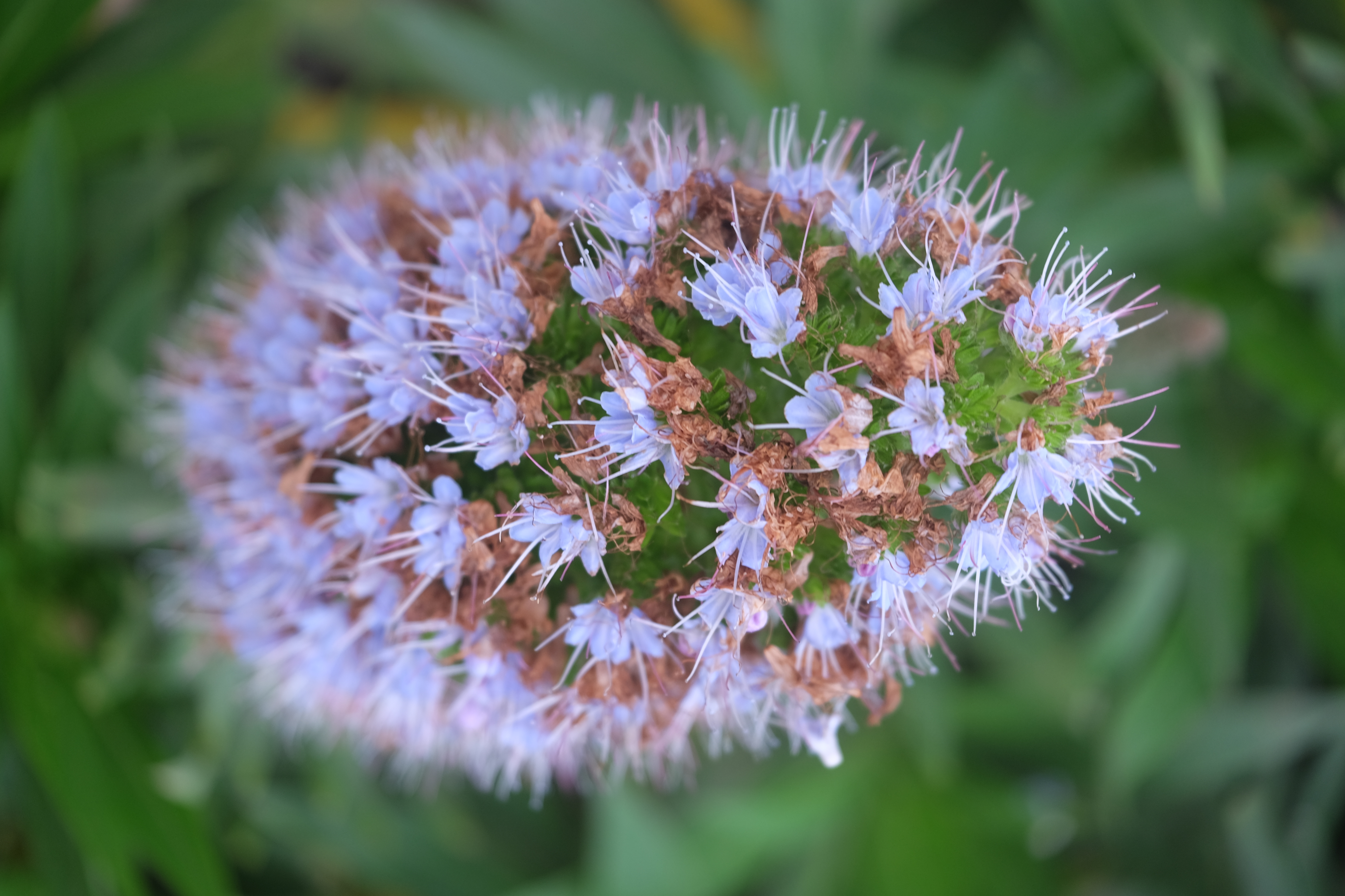 Great Ocean Road Australia photo 6