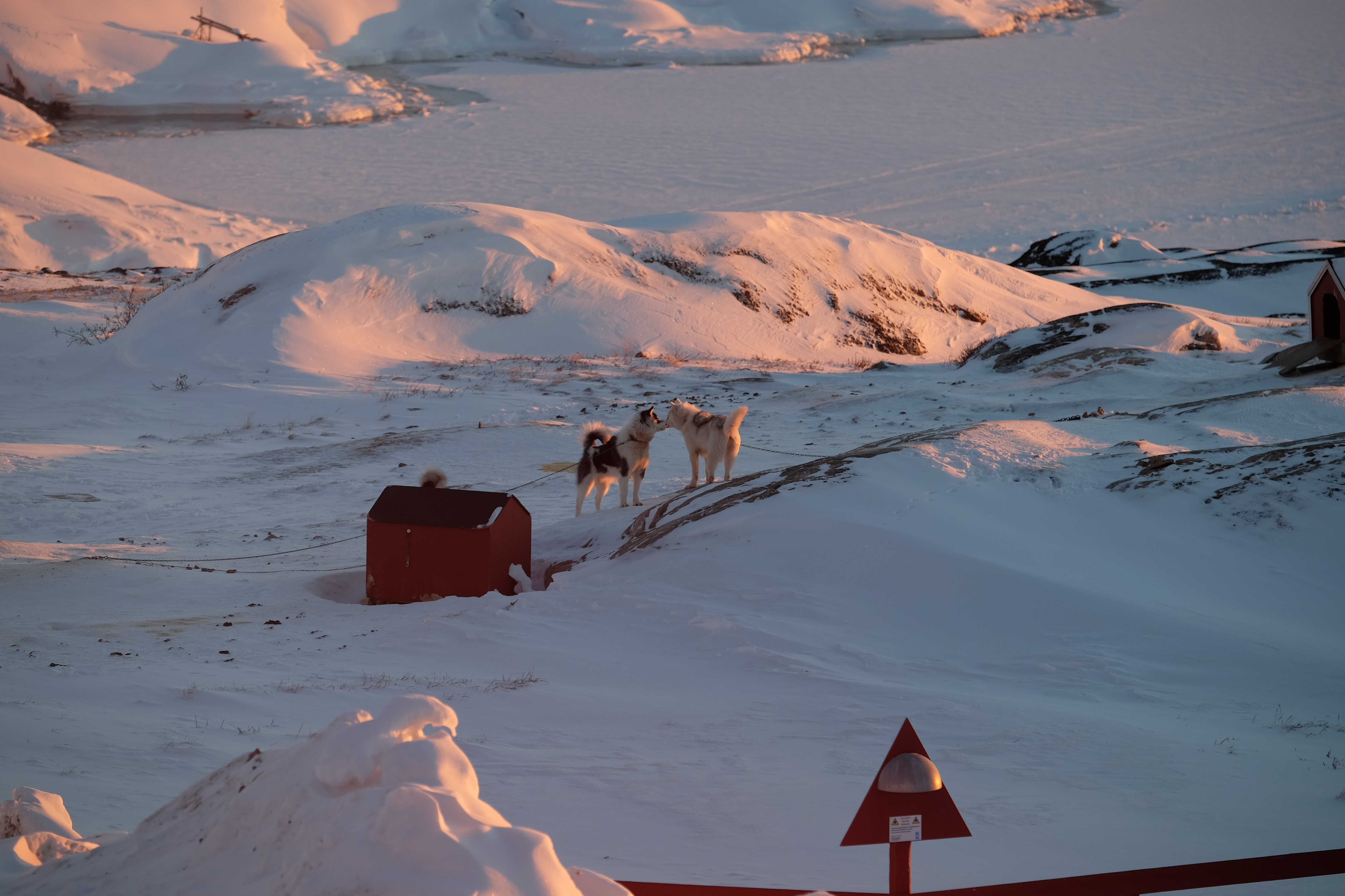 Greenland photo 5