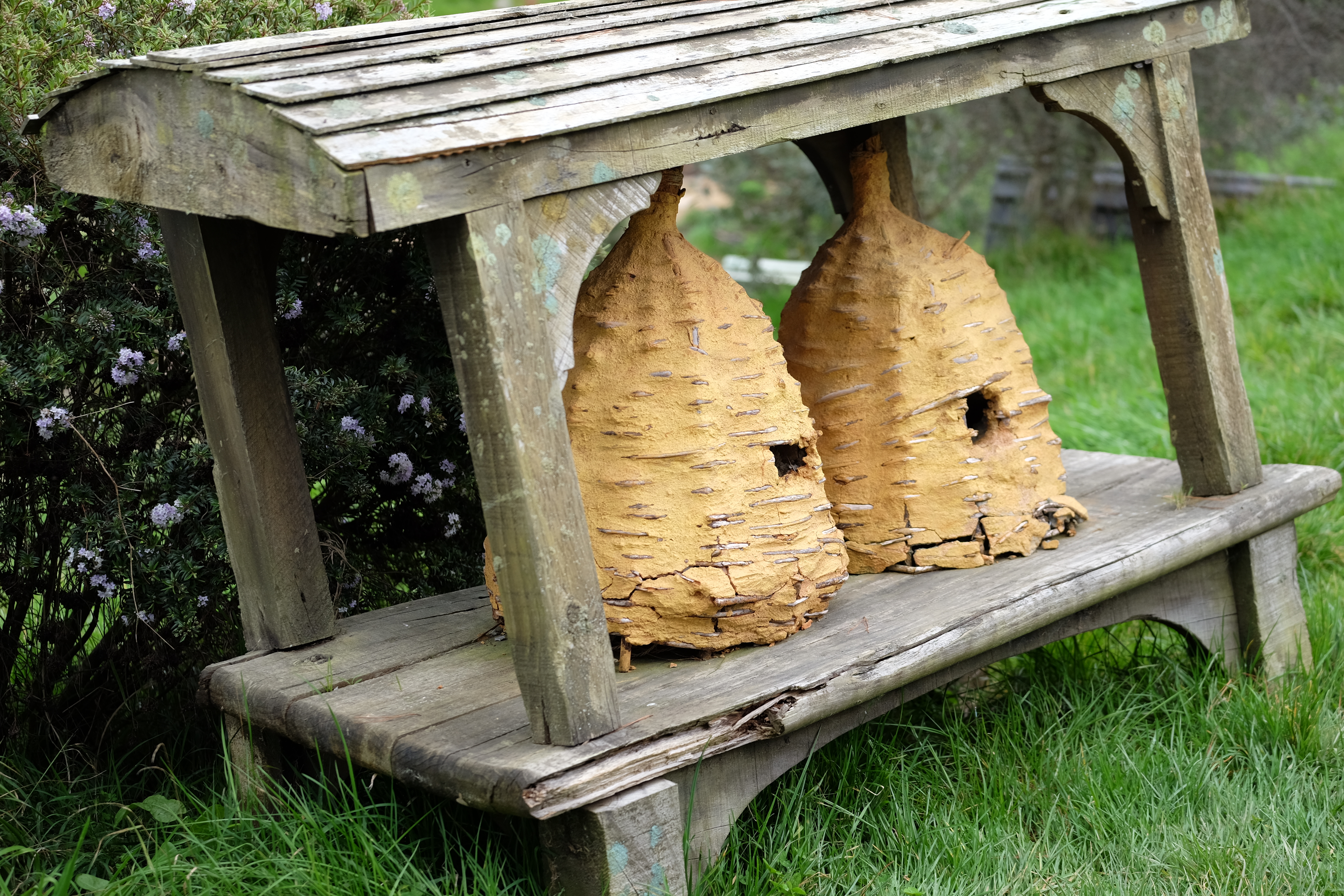 Hobbiton New Zealand photo 6