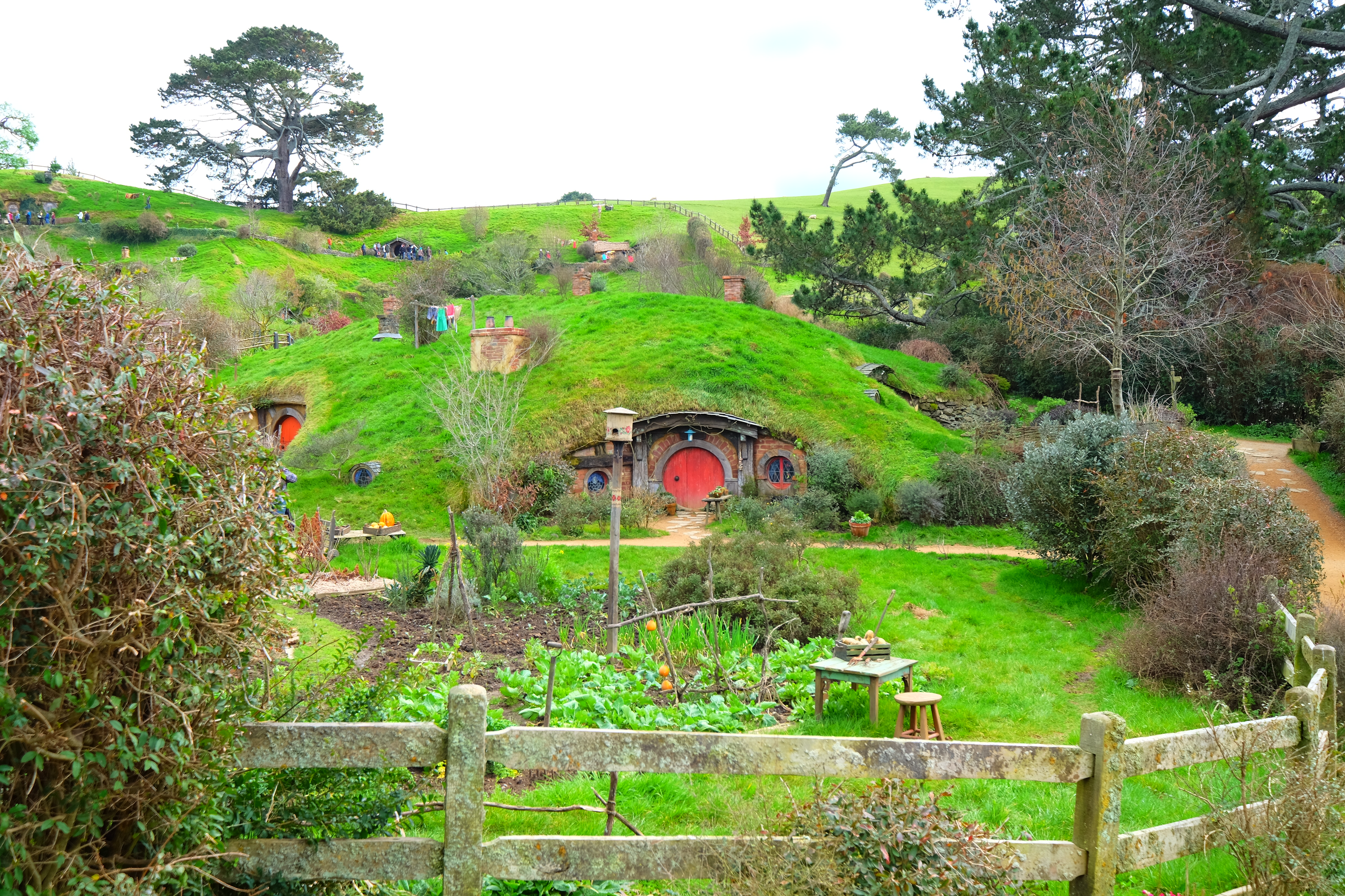 Hobbiton New Zealand photo 7