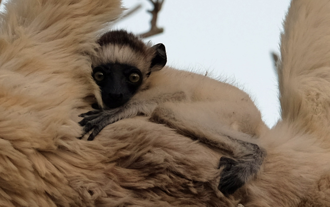 Ifotaka Madagascar photo 10