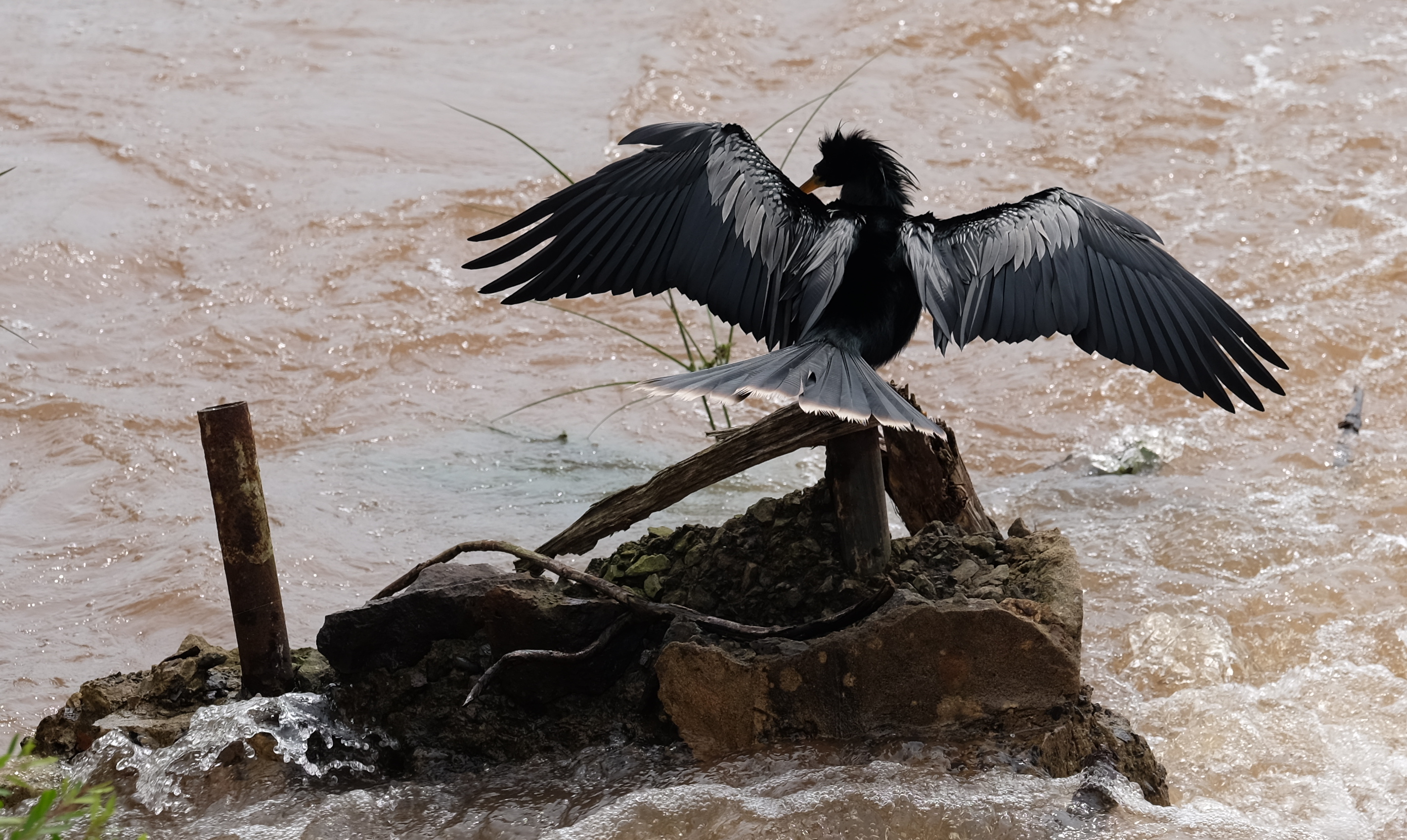 Iguazu Falls Argentina photo 8