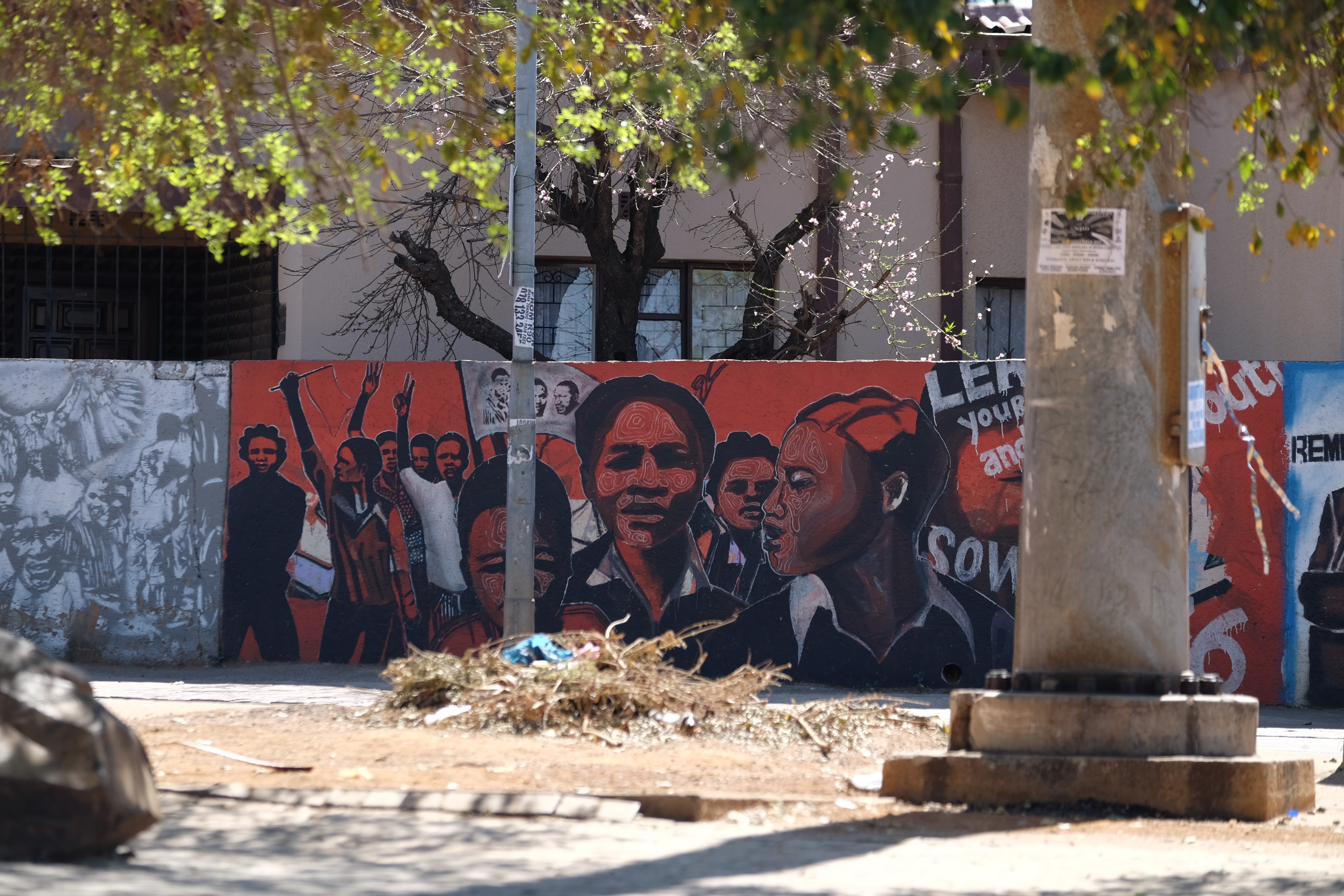 Johannesburg South Africa photo 9