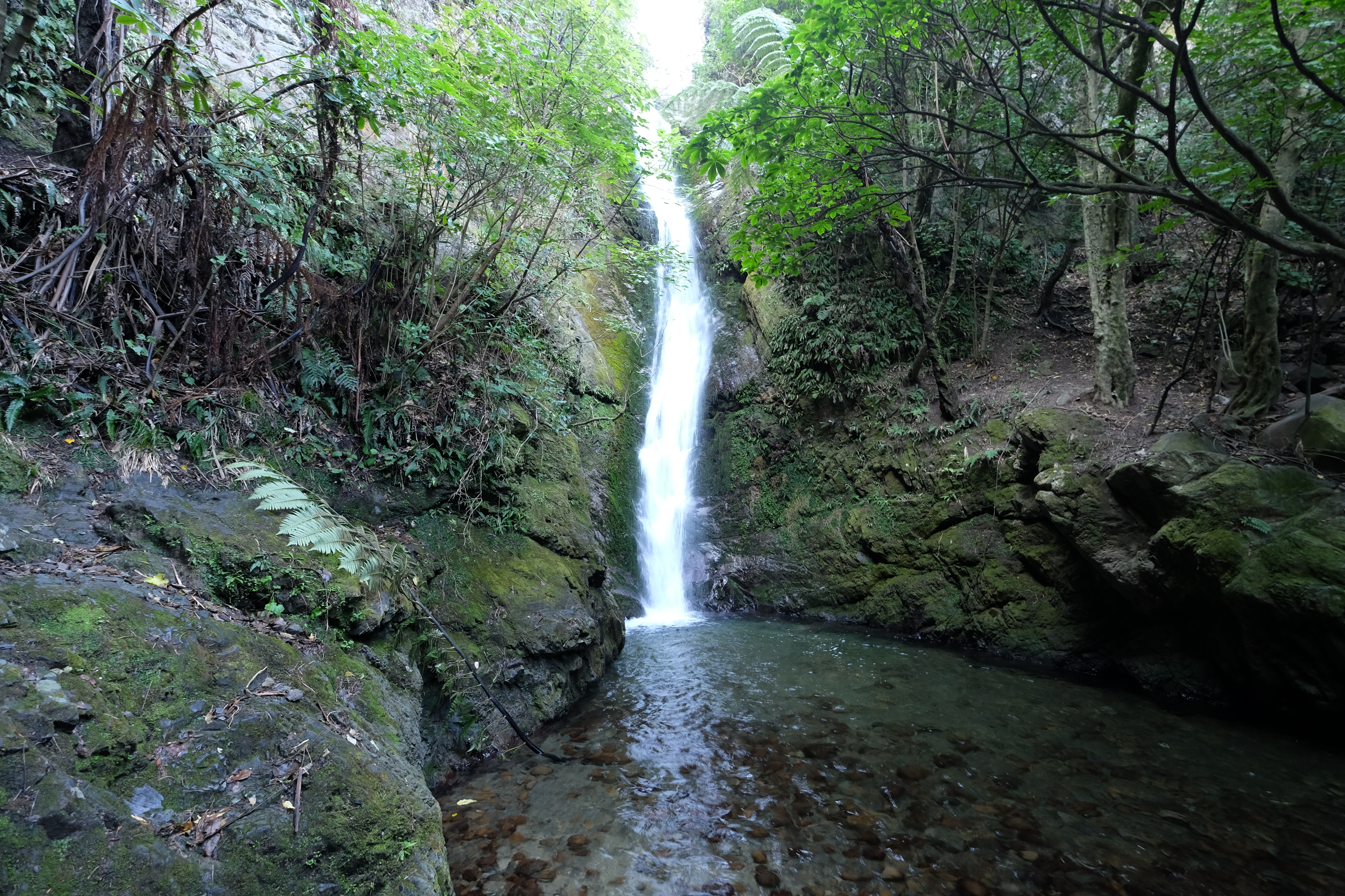 Kaikora New Zealand photo 1