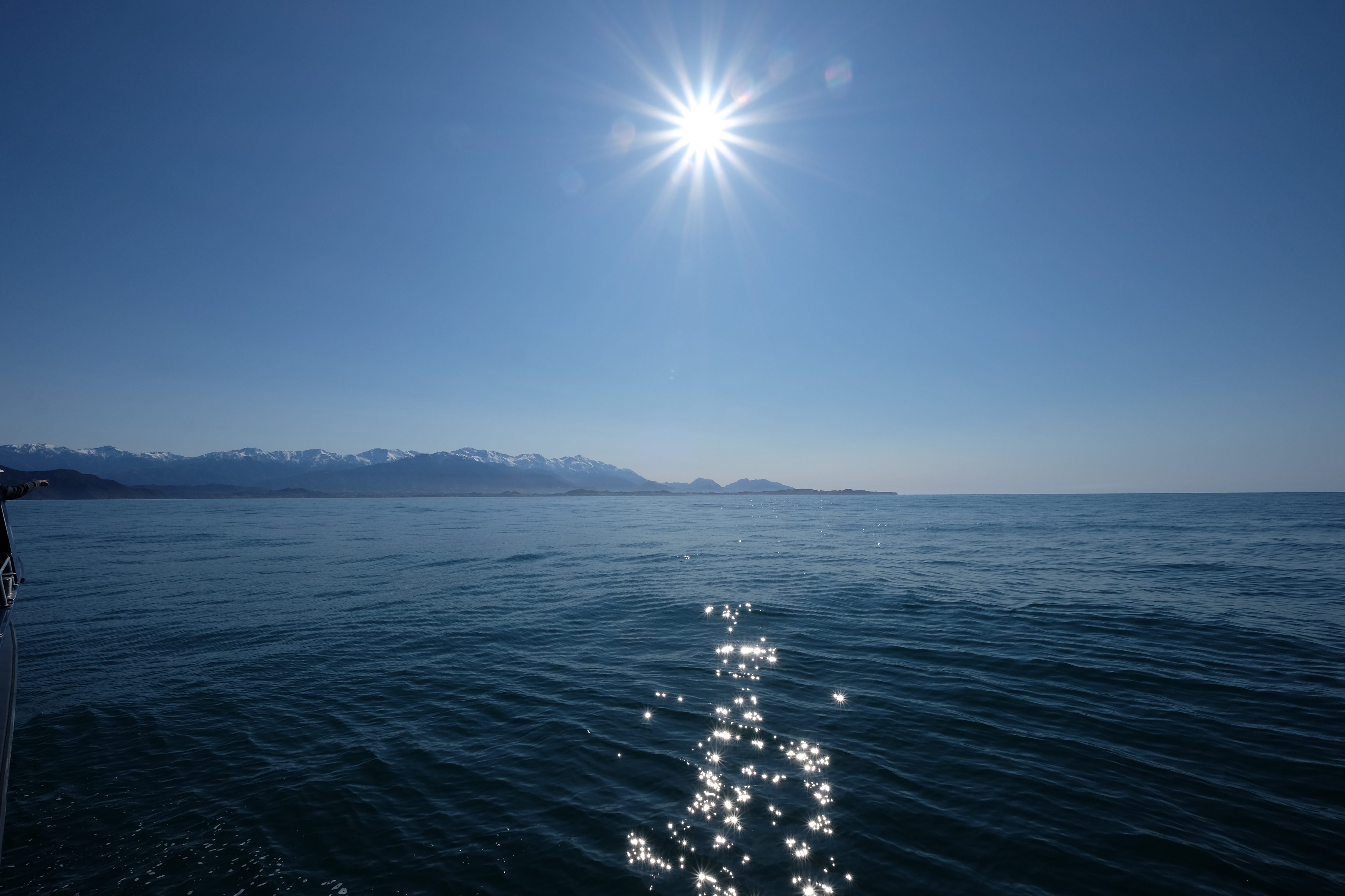 Kaikora New Zealand photo 8