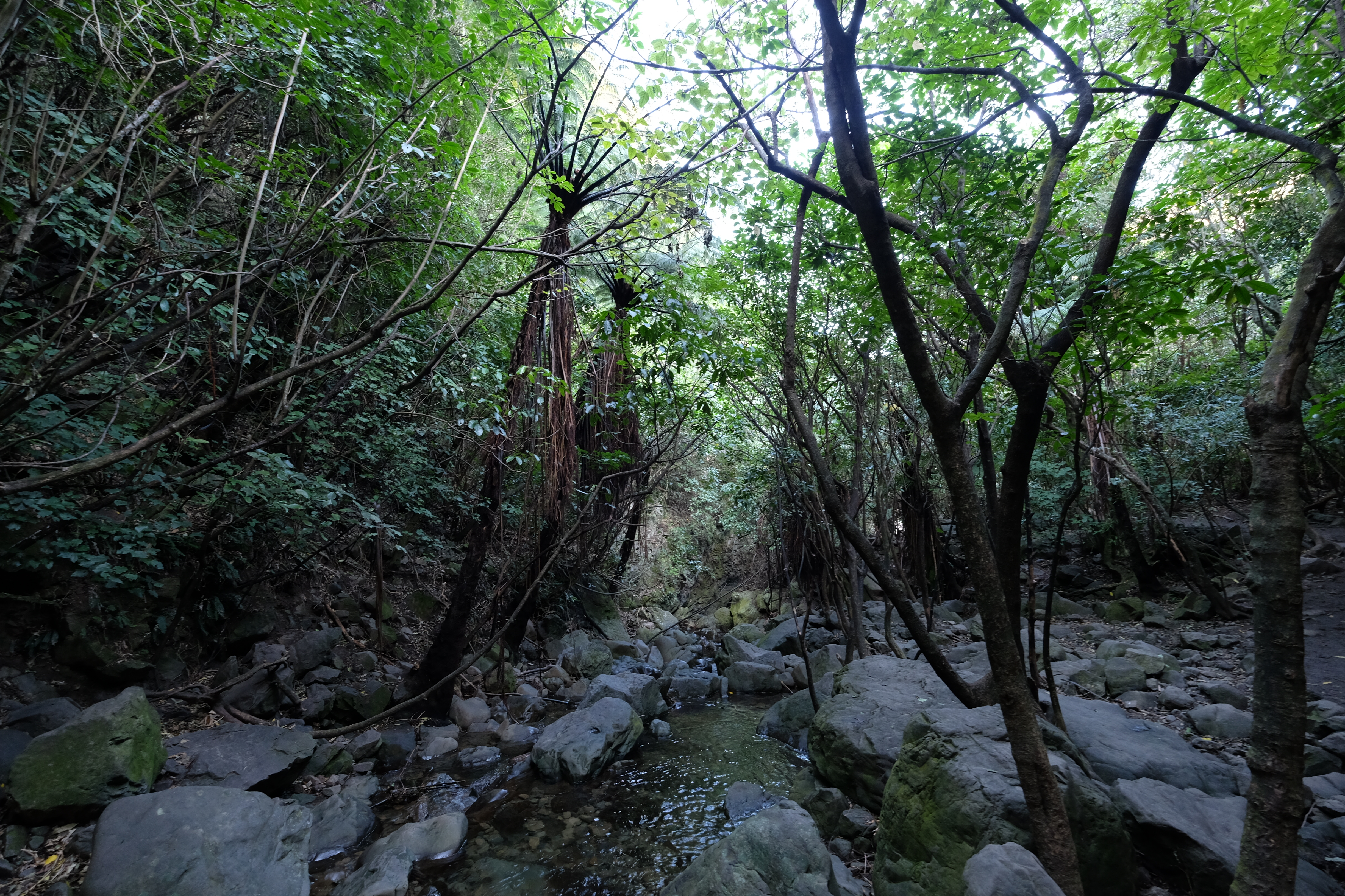 Kaikora New Zealand photo 10