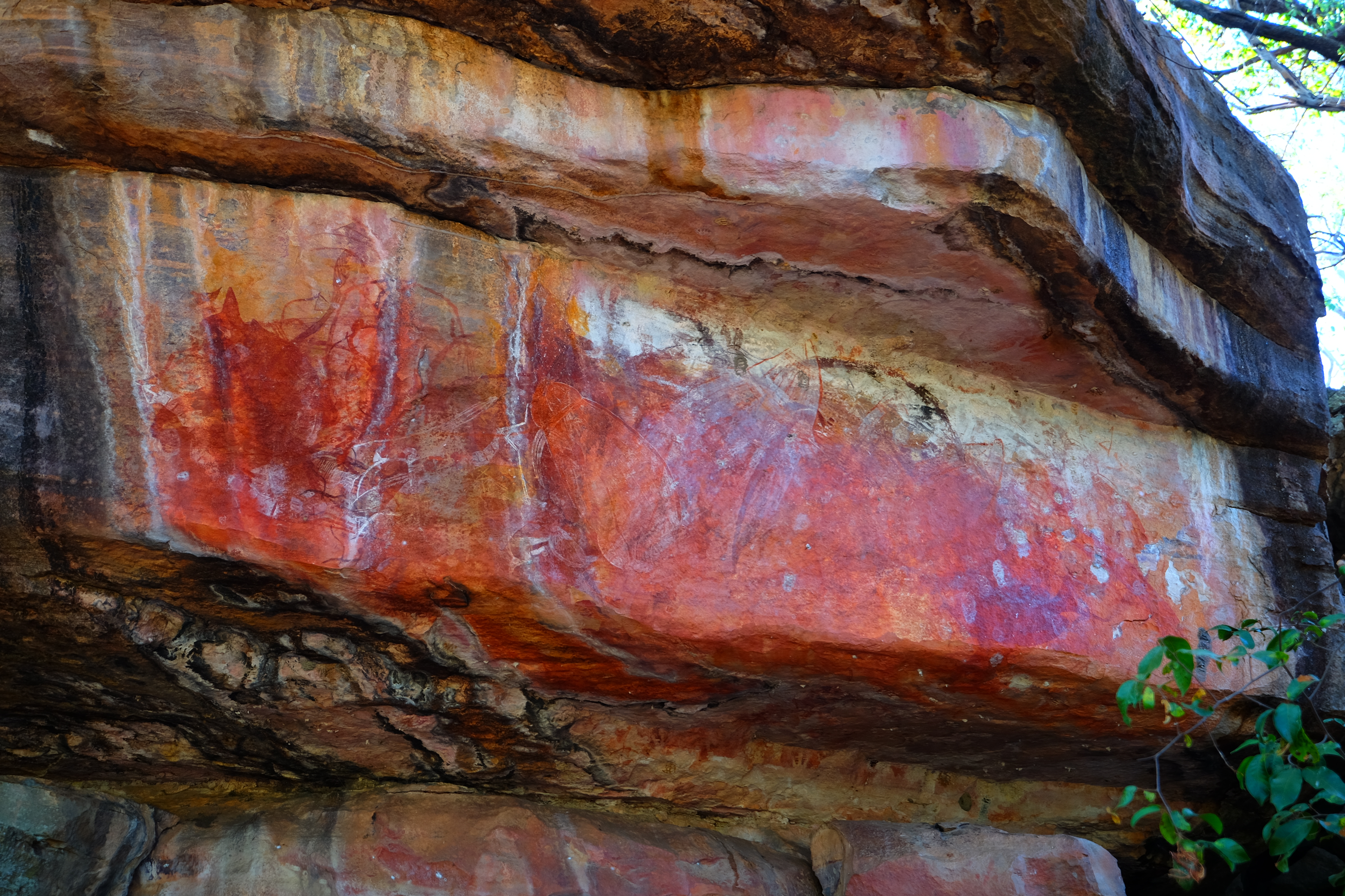 Kakadu Australia photo 3