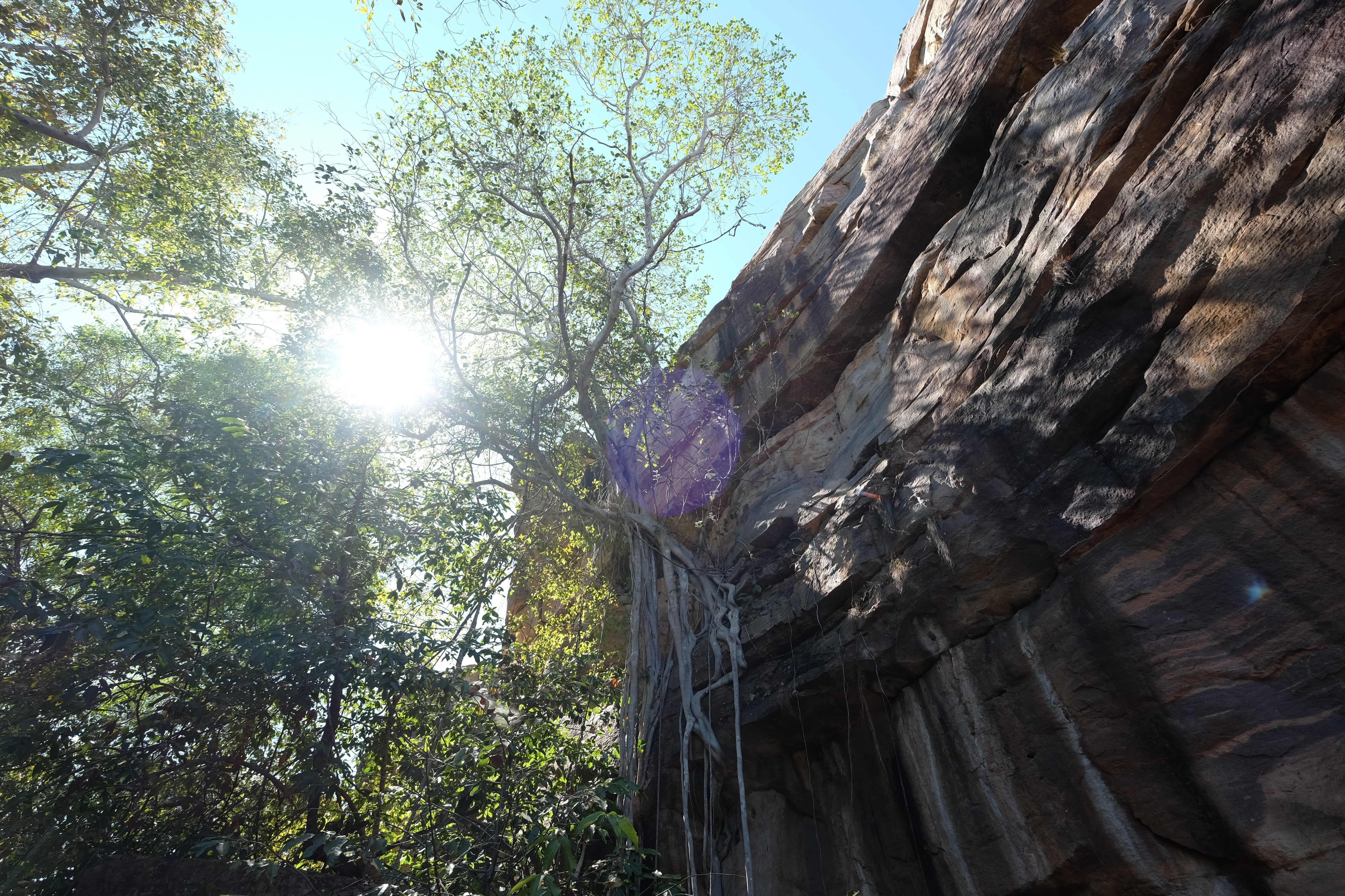 Kakadu Australia photo 5