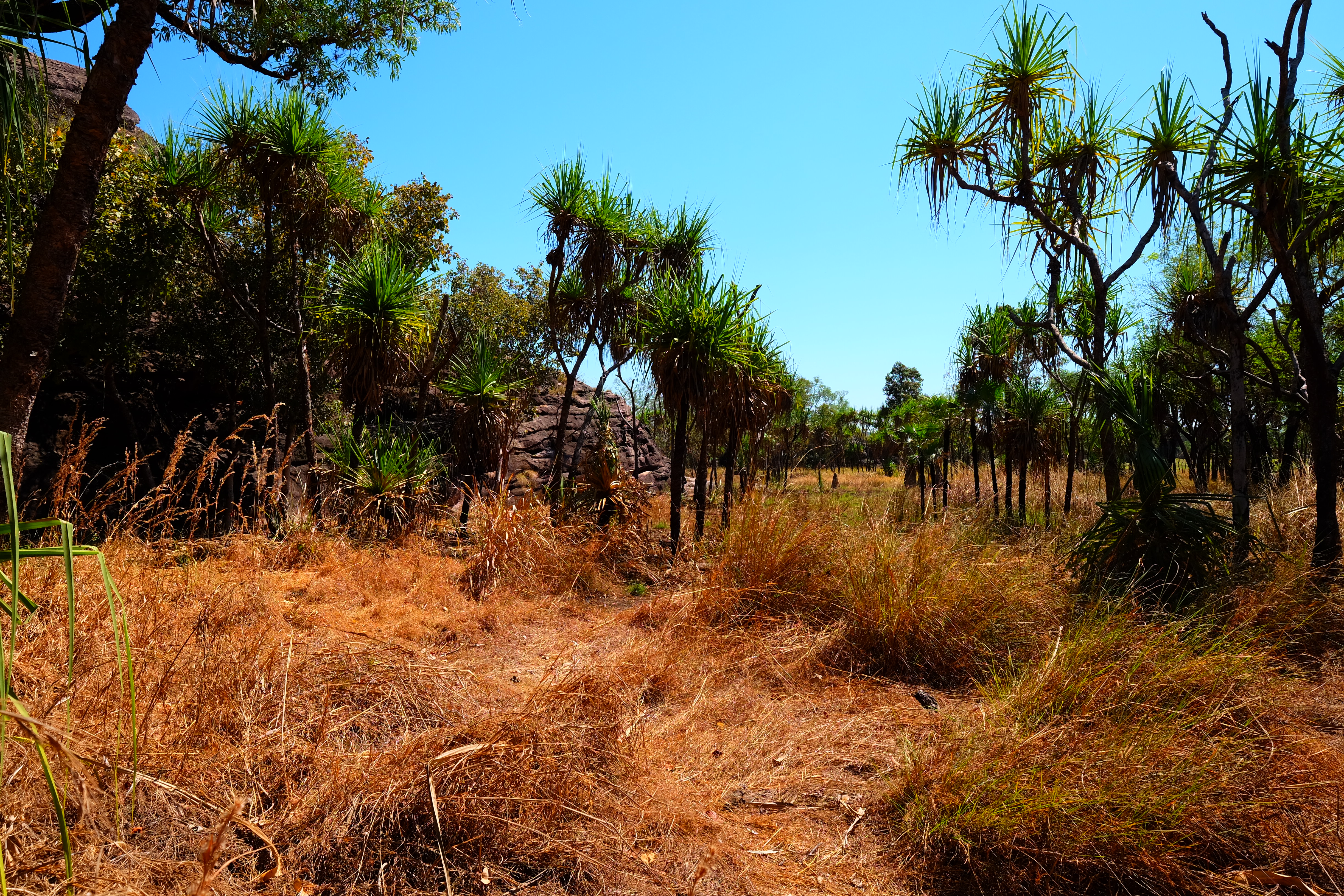 Kakadu Australia photo 10