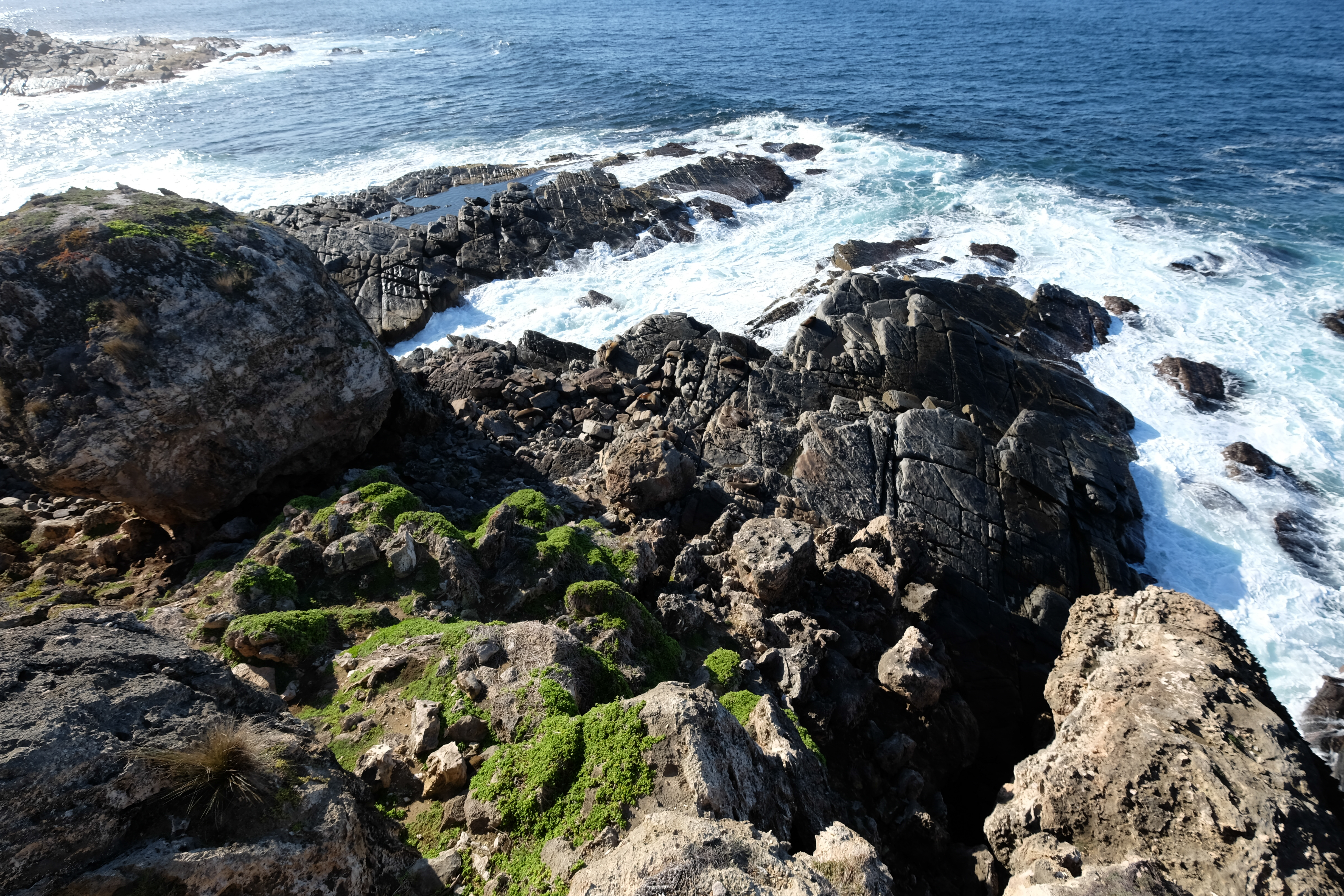 Kangaroo Island Australia photo 10