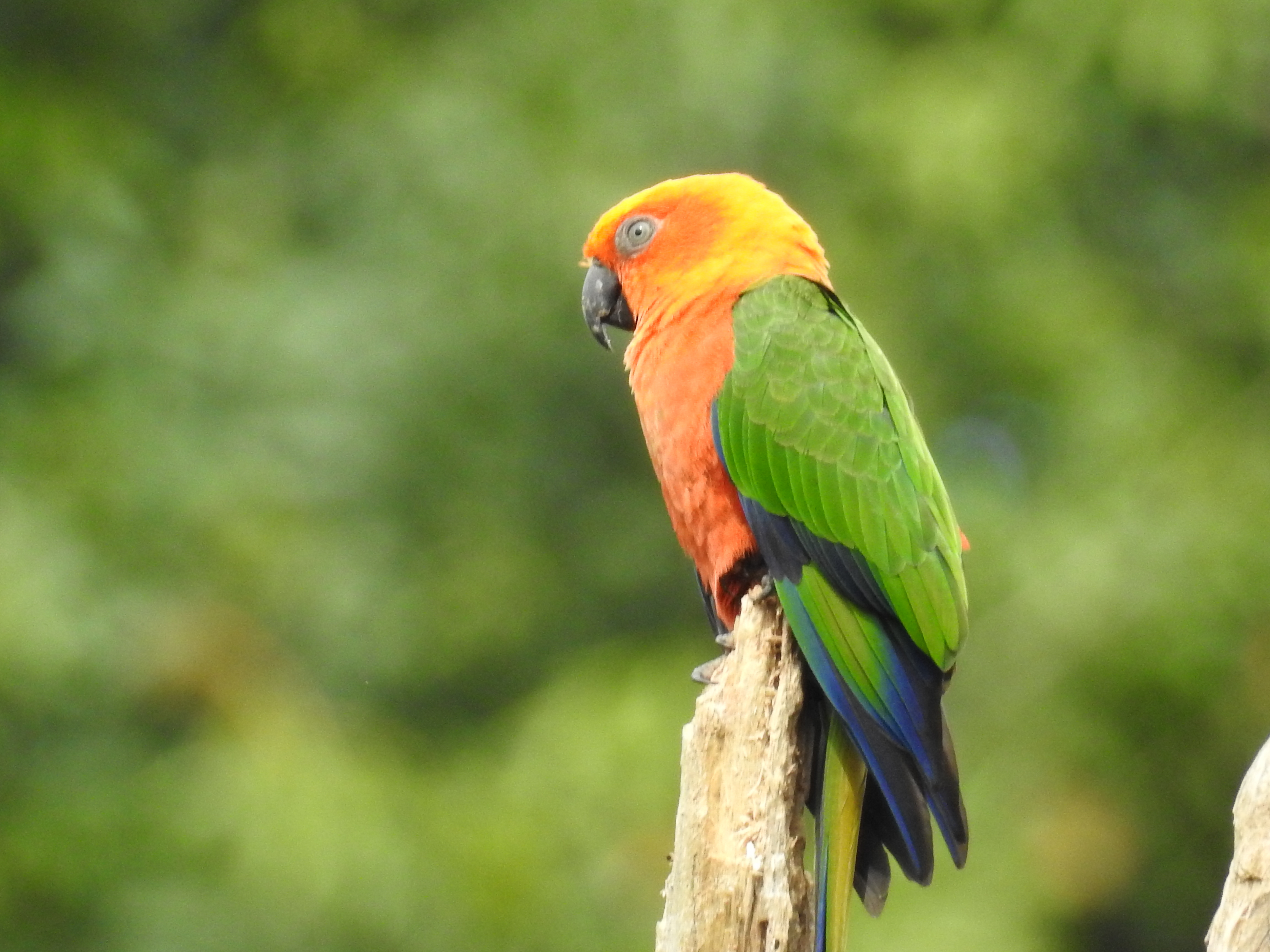 Knysna South Africa photo 5