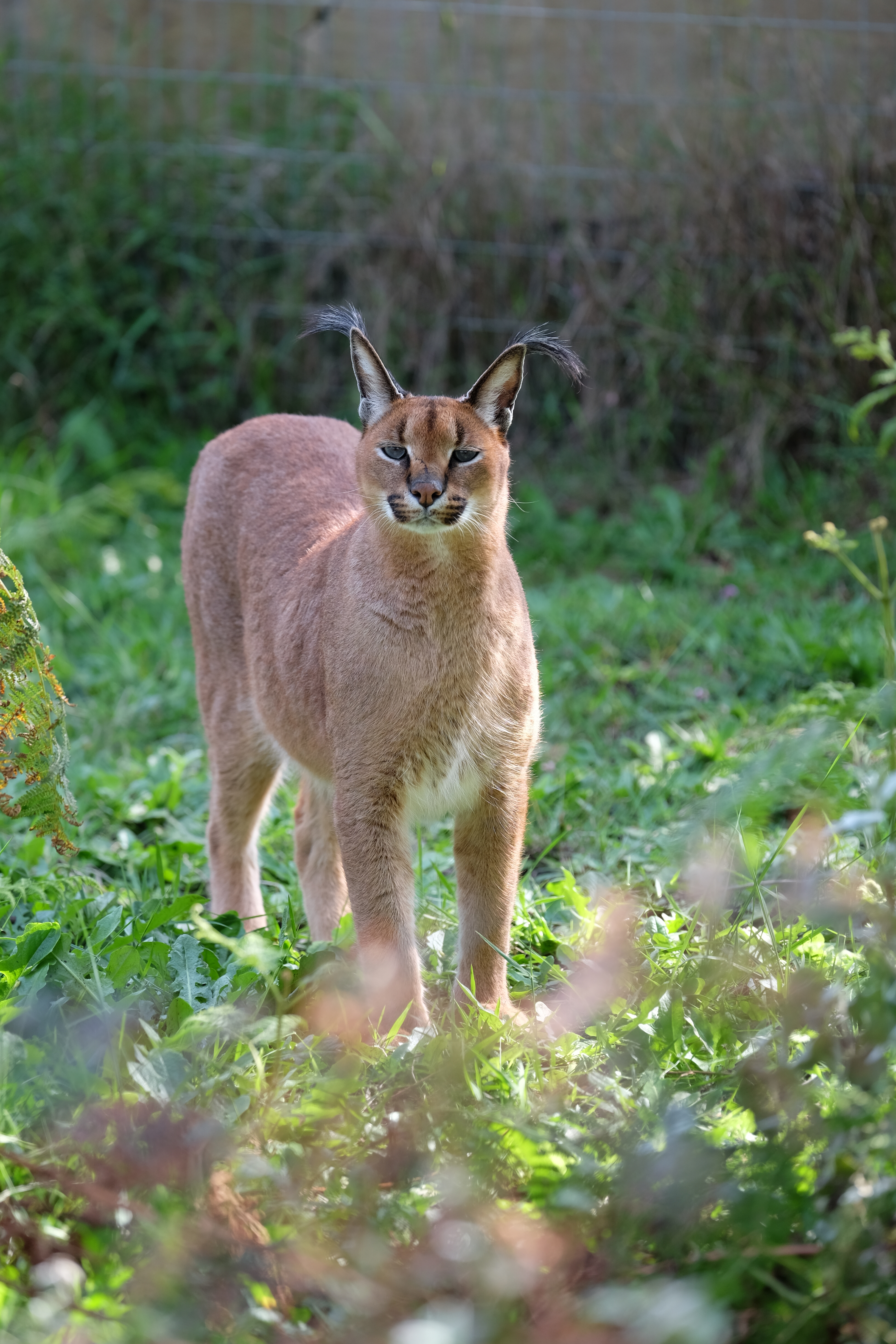 Knysna South Africa photo 10