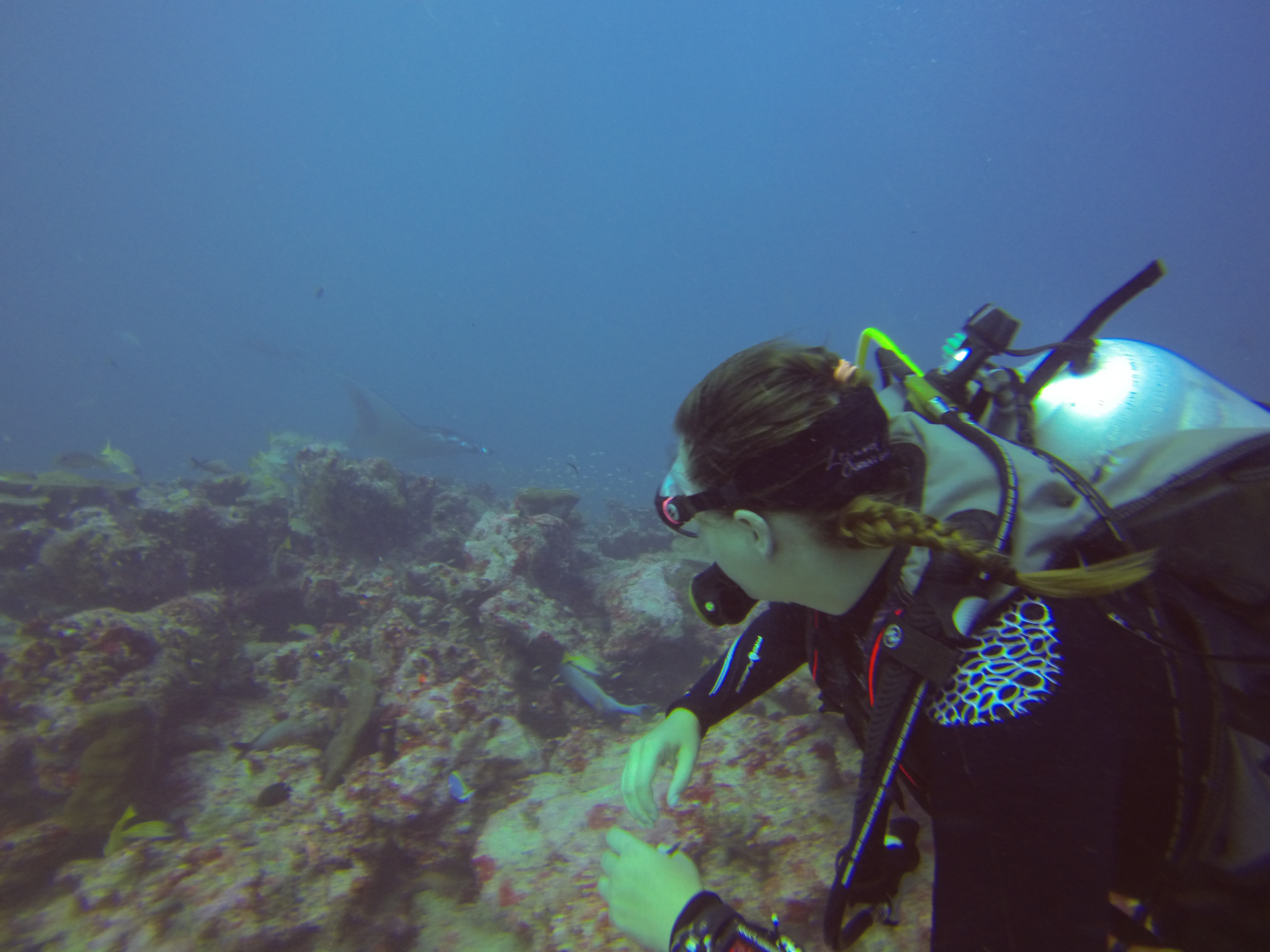 Laamu Atoll Maldives photo 2