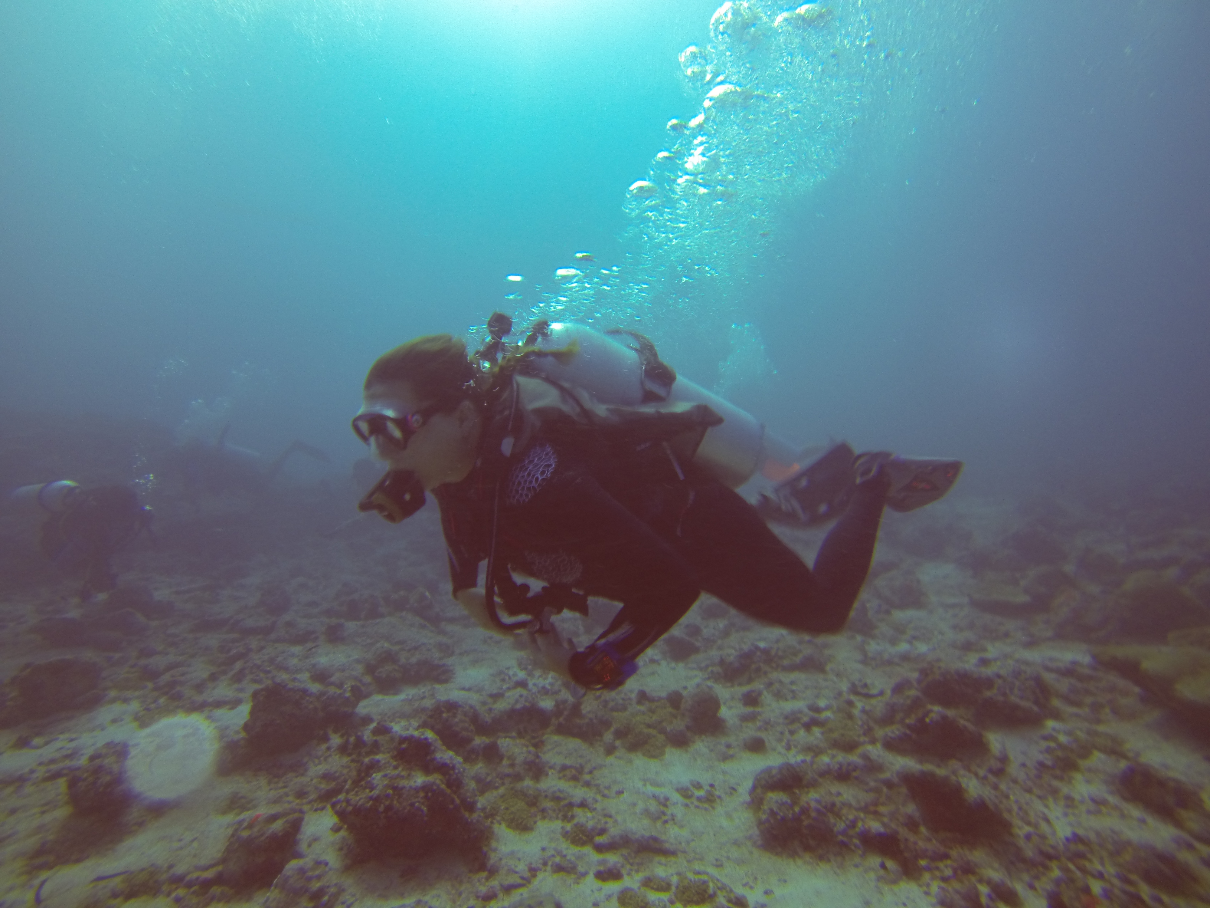 Laamu Atoll Maldives photo 4