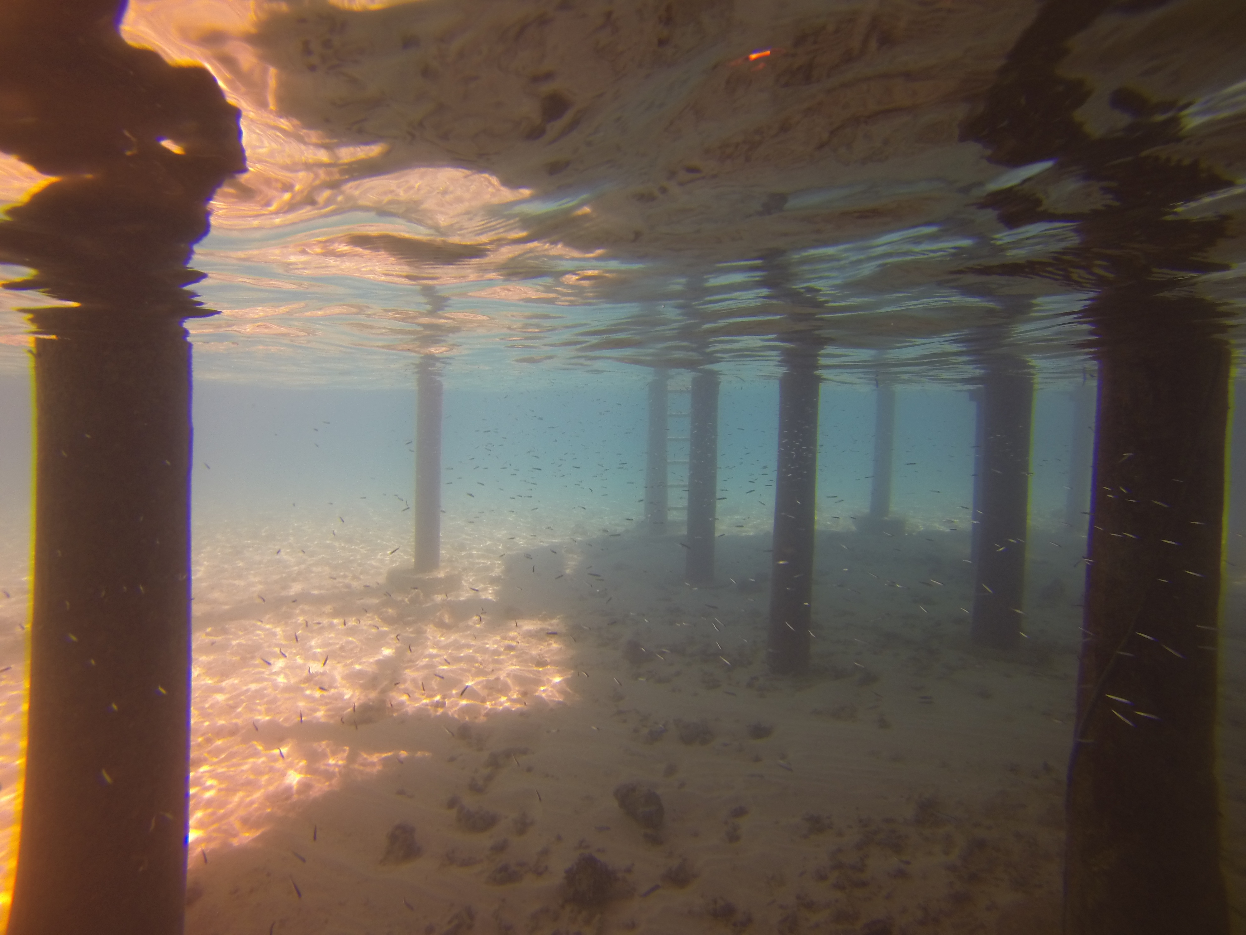 Laamu Atoll Maldives photo 6