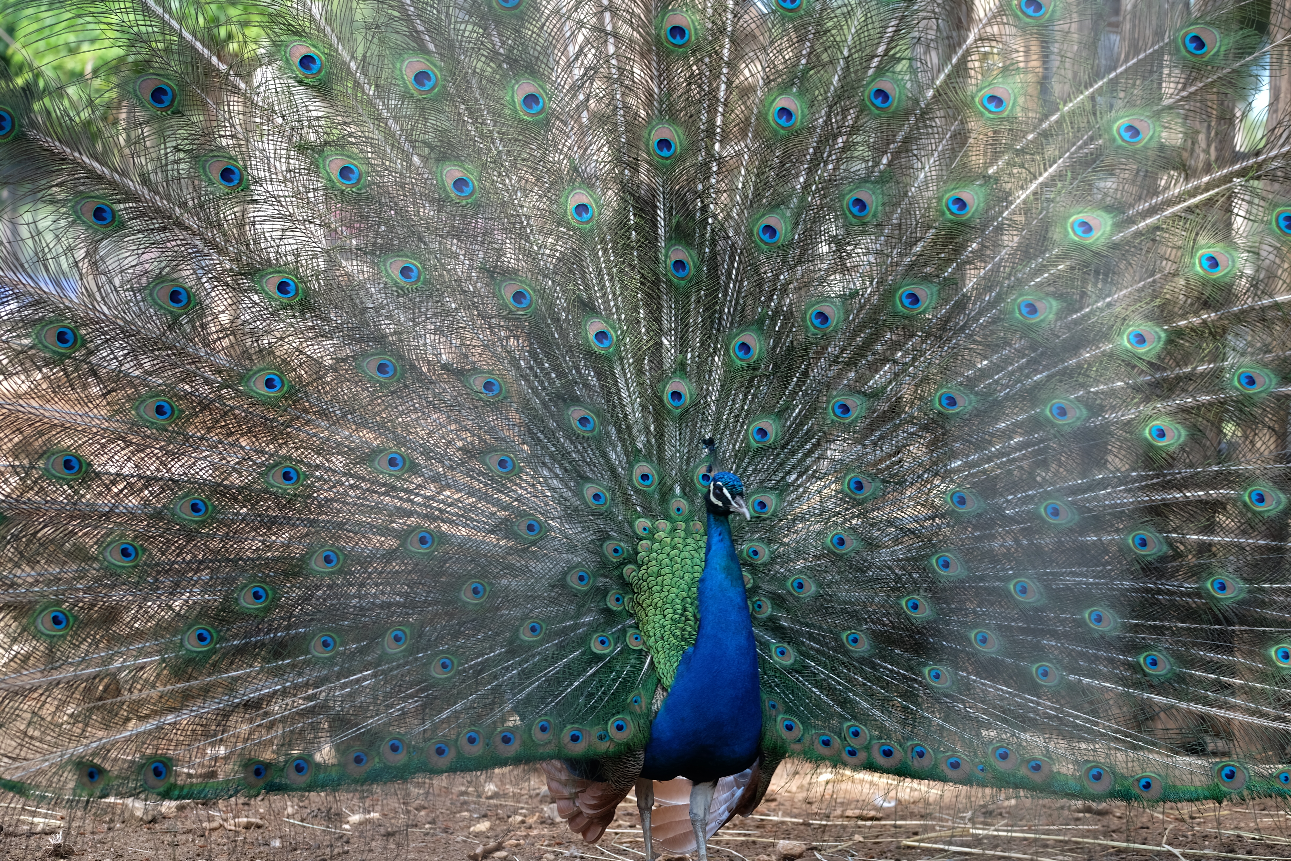 Lefkadas Greece photo 2