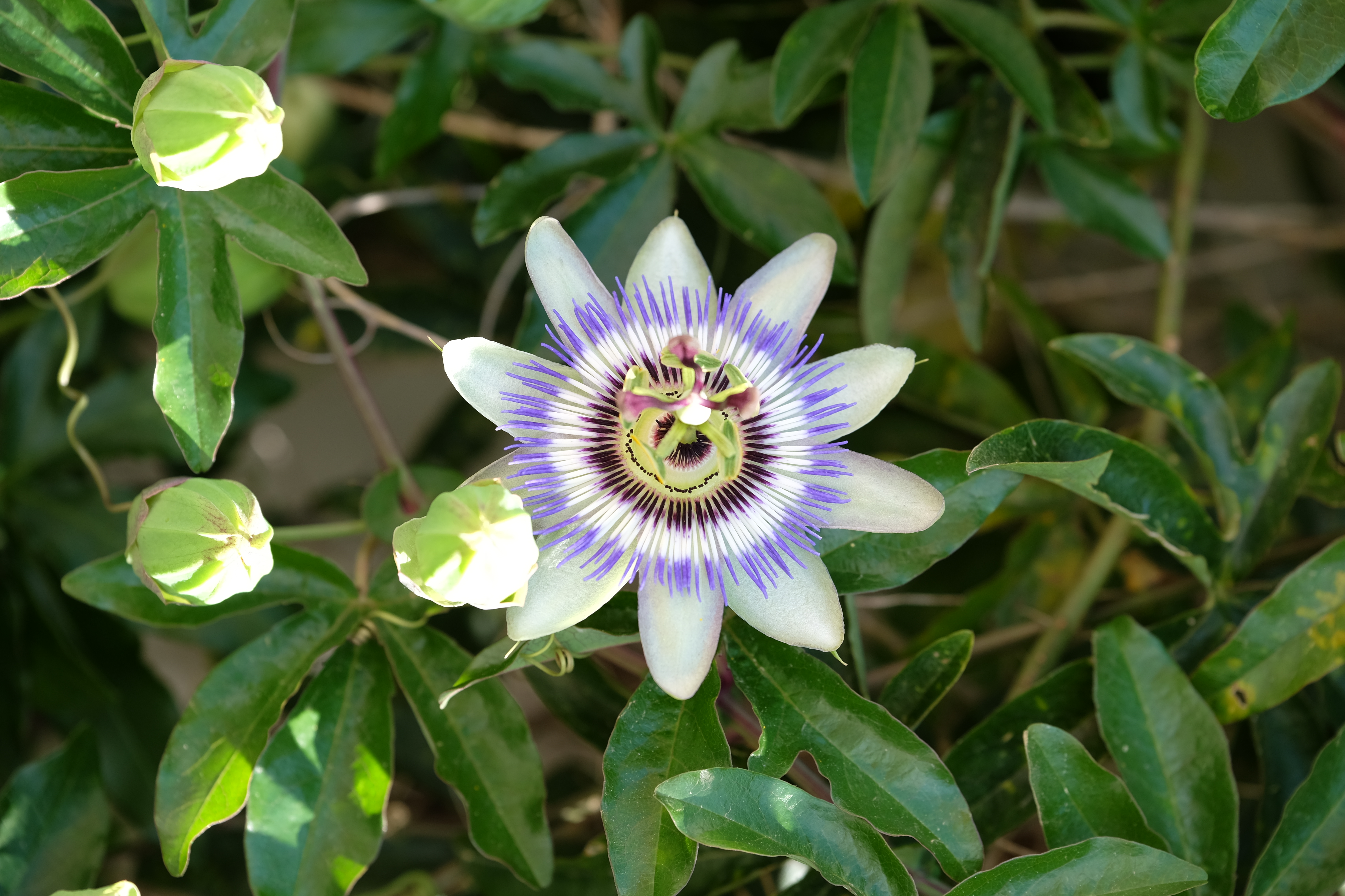 Lefkadas Greece photo 4